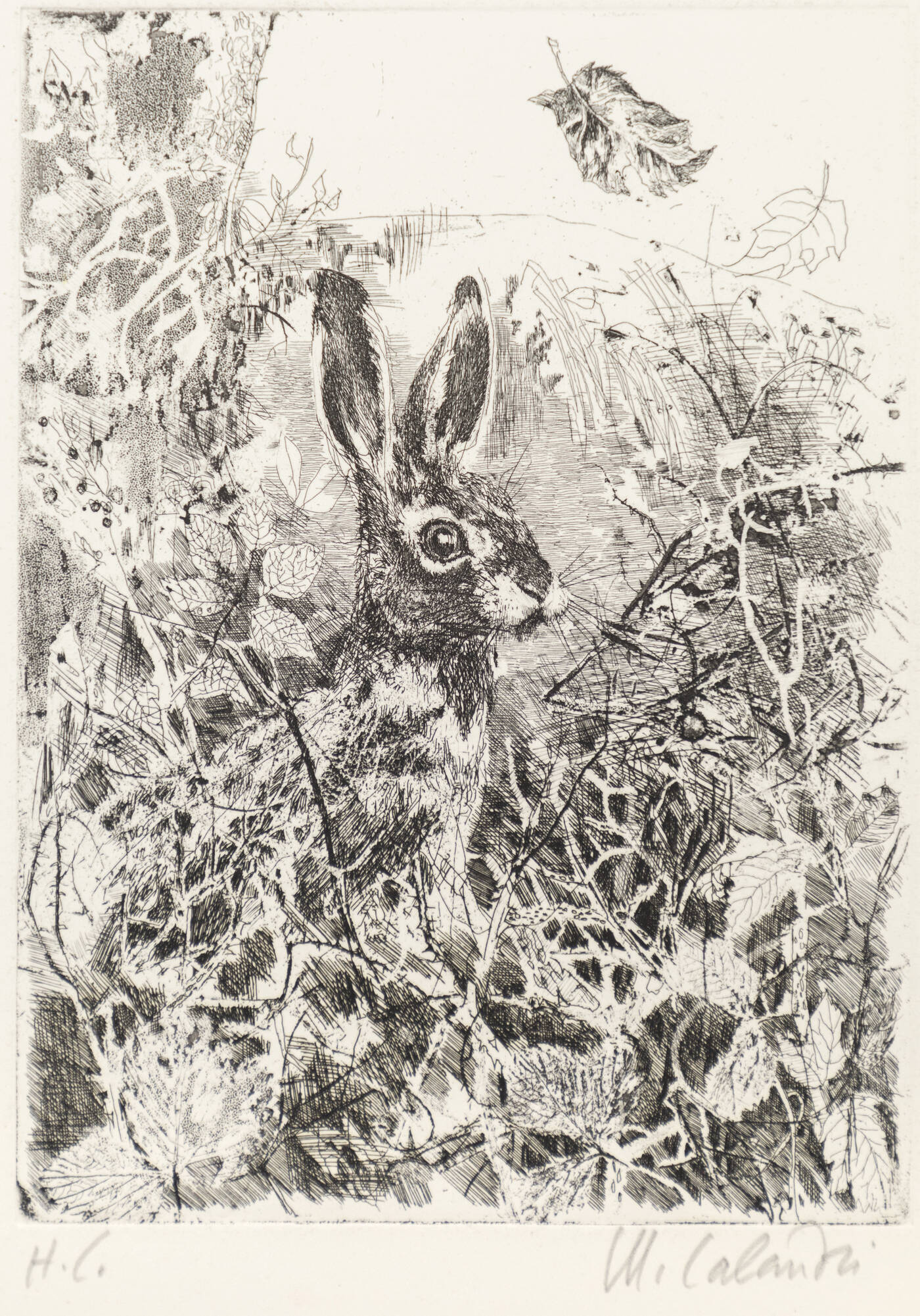 MARIO CALANDRI - 'Coniglio'