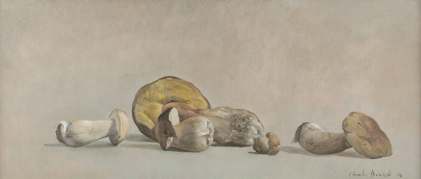 CLAUDIO BONICHI - 'Funghi' 1986