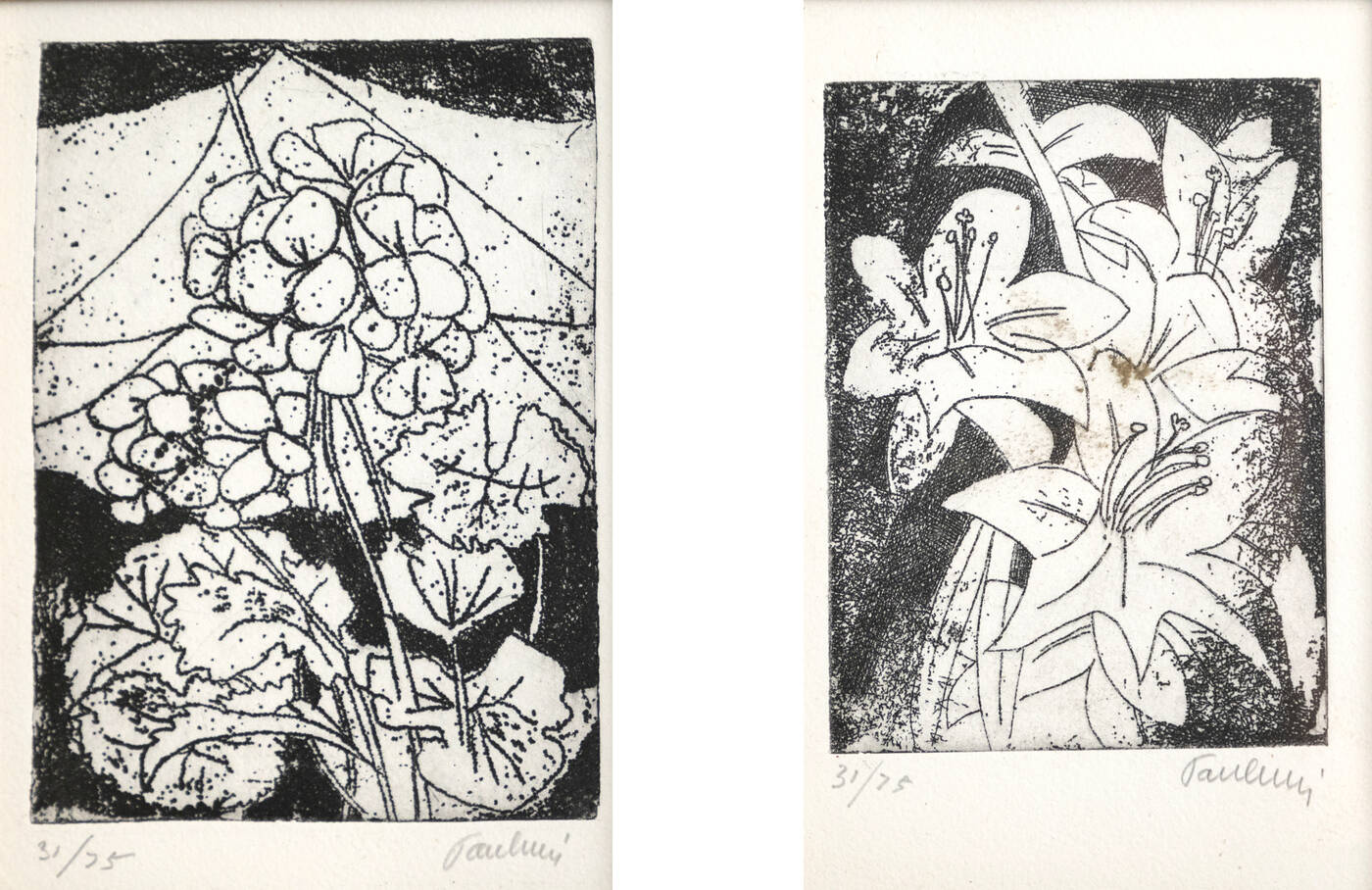 ENRICO PAULUCCI - 'Fiori'