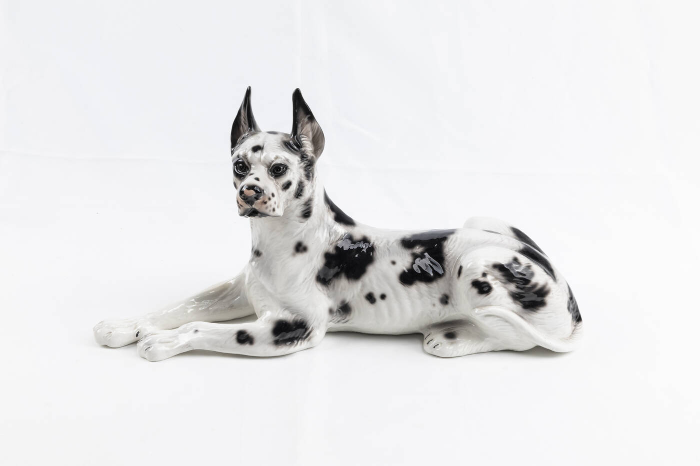 ANTONIO RONZAN - 'Alano in posa'