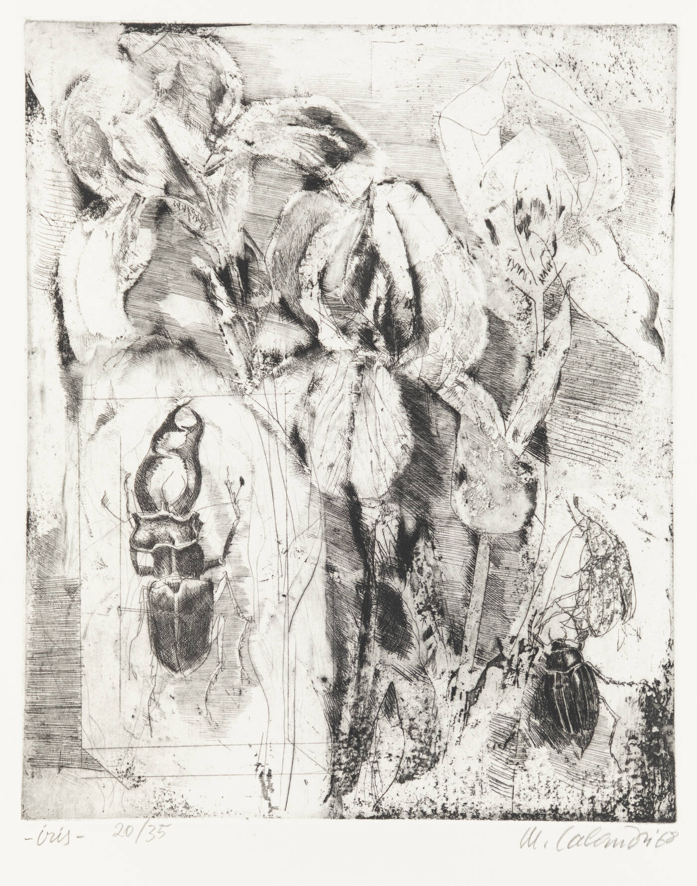 MARIO CALANDRI - 'Iris' 1968