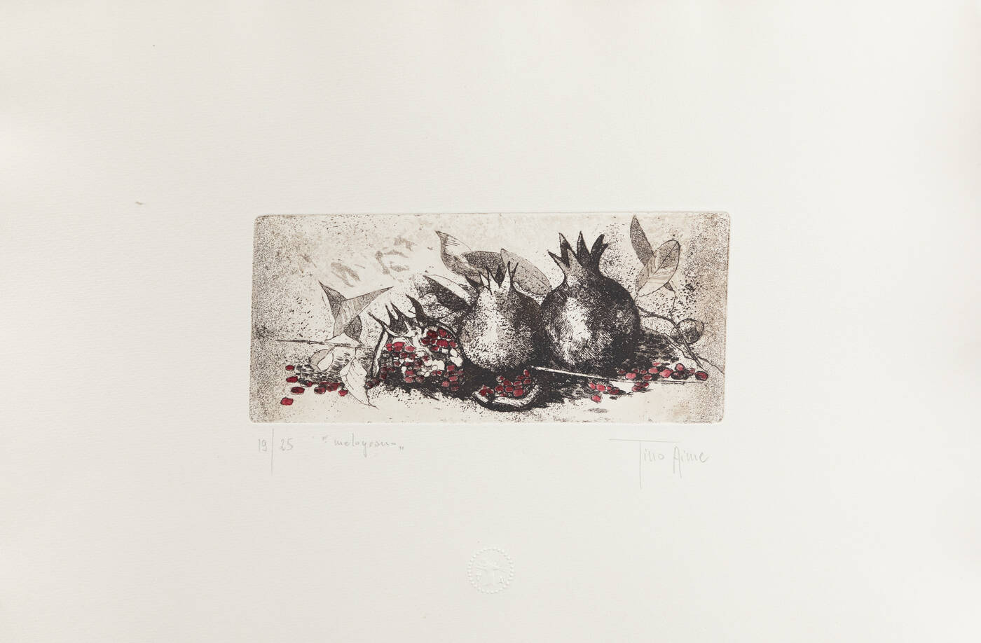 TINO AIME - 'Melograno'