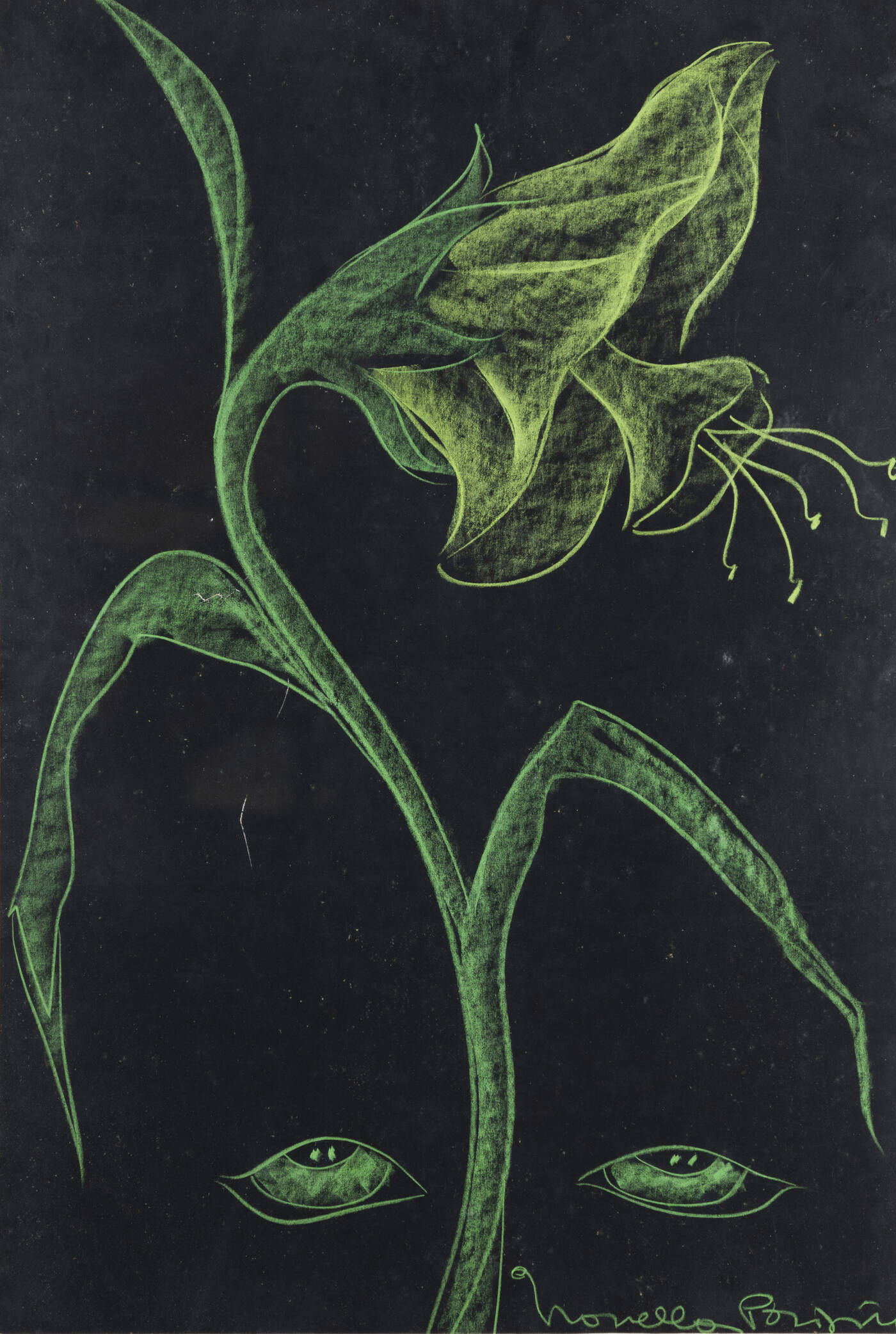 NOVELLA PARIGINI - 'Fiore e occhi'