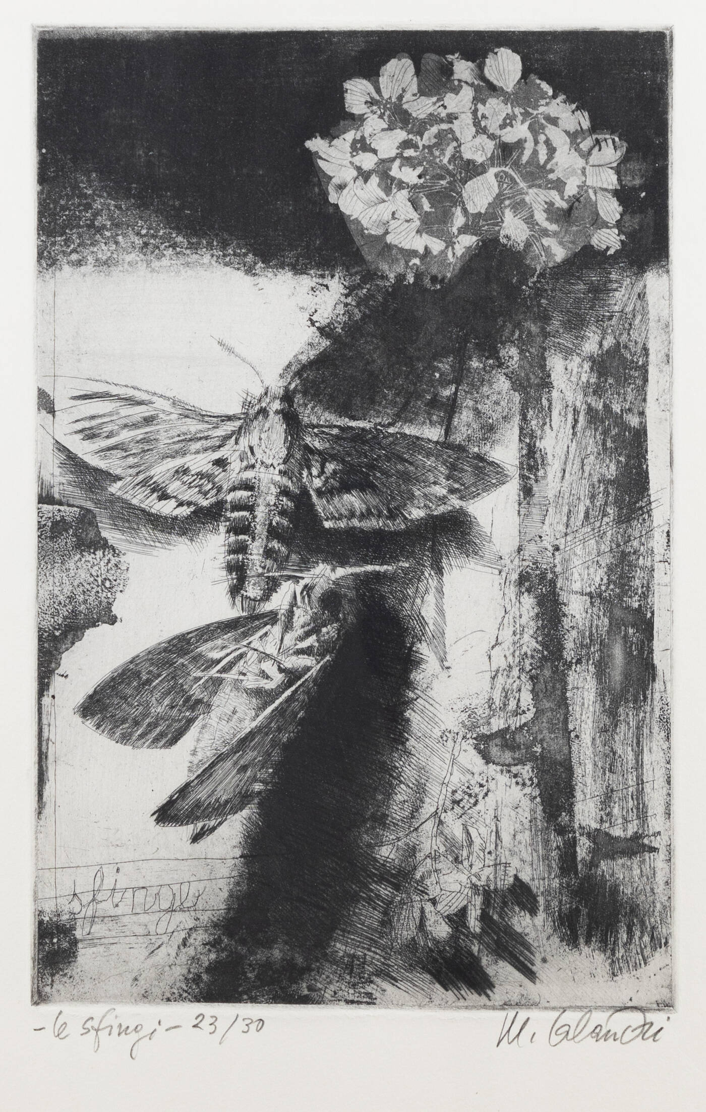 MARIO CALANDRI - 'Le sfingi'