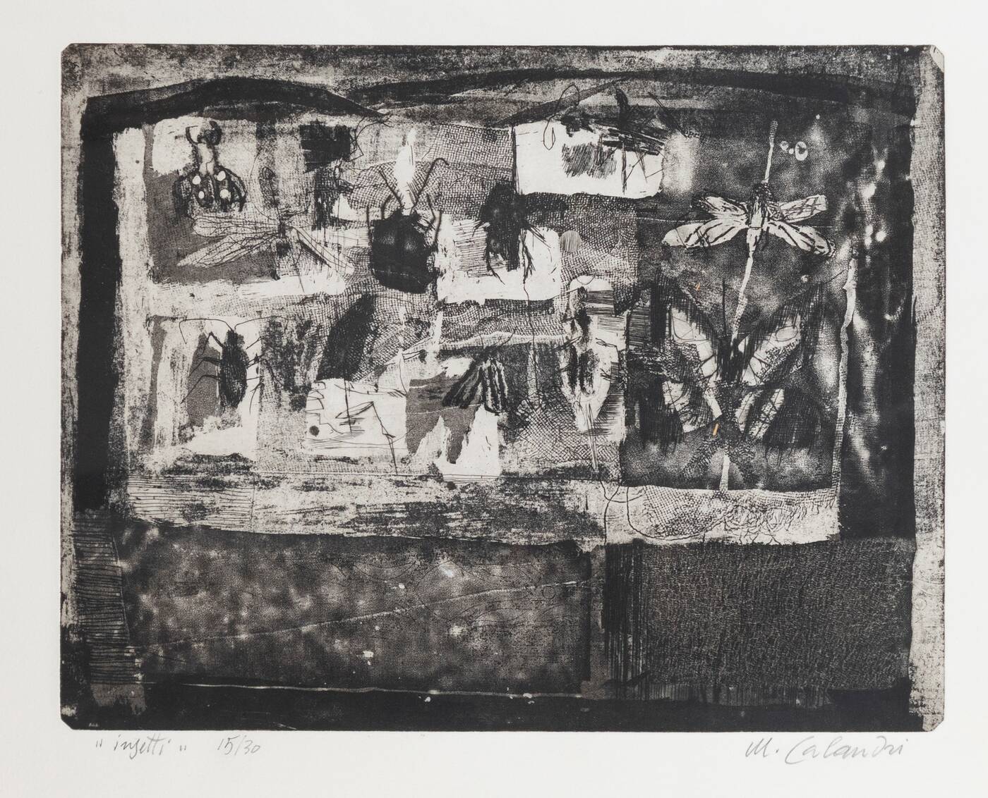 MARIO CALANDRI - 'Insetti (La scatola degli insetti)' 1962