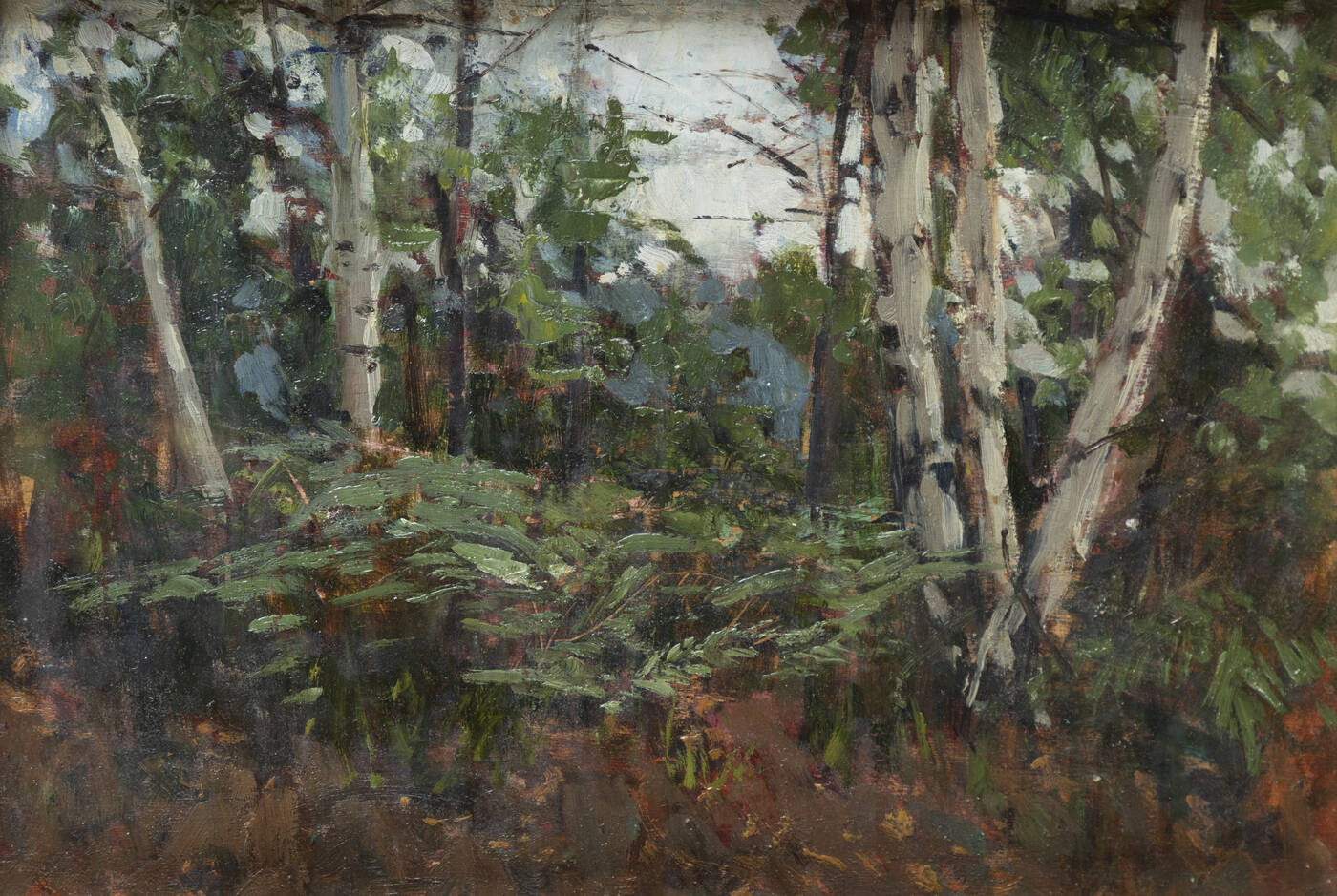 PITTORE ANONIMO - 'Paesaggio con betulle'