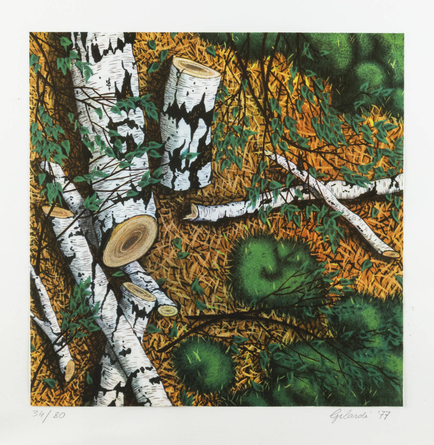 PIERO GILARDI - 'Le betulle' 1977