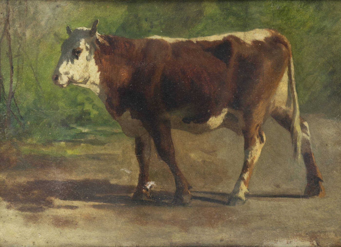 ERNESTO RAYPER - 'Mucca- Studio dal vero'