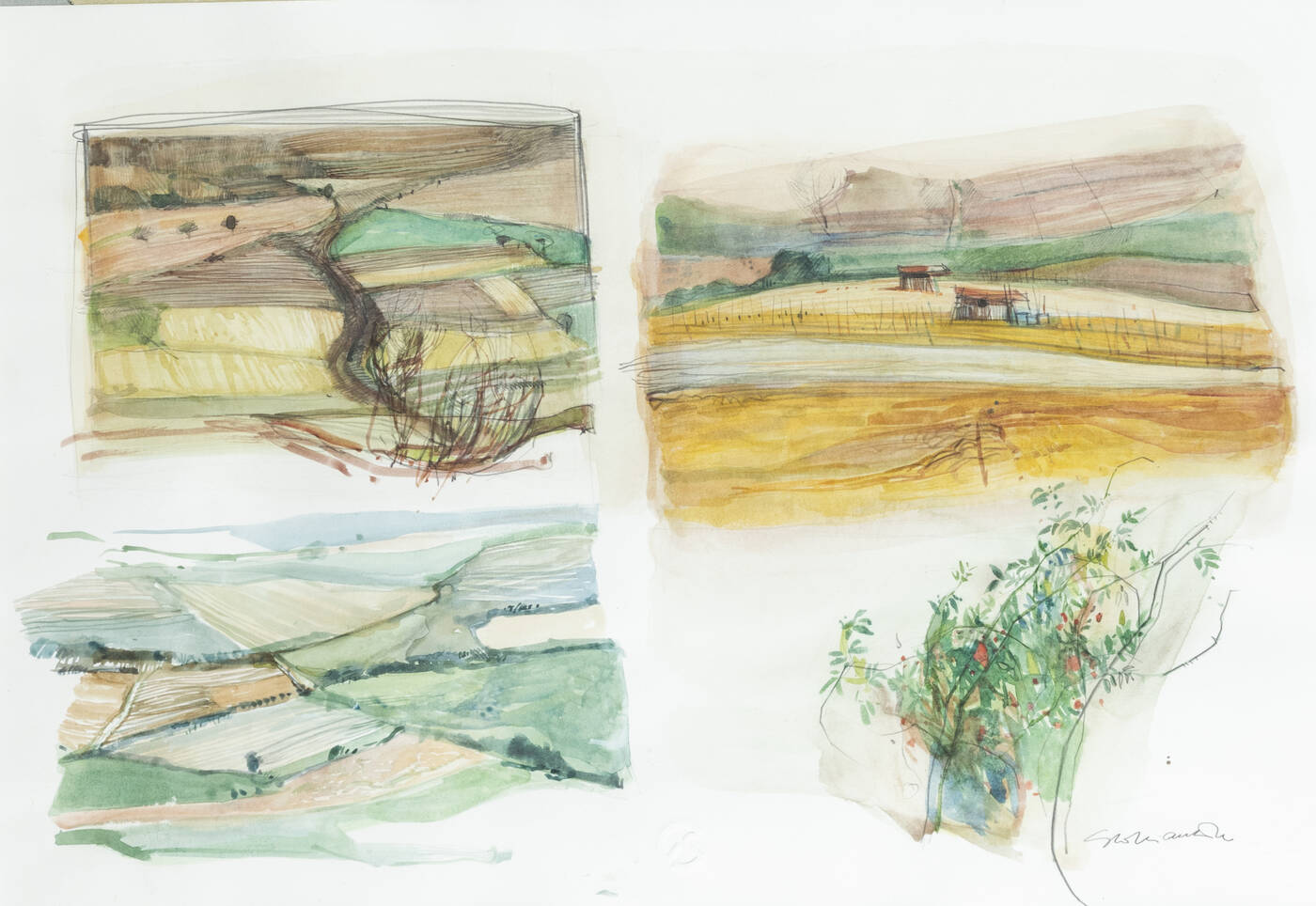 GIACOMO SOFFIANTINO - 'Paesaggi'