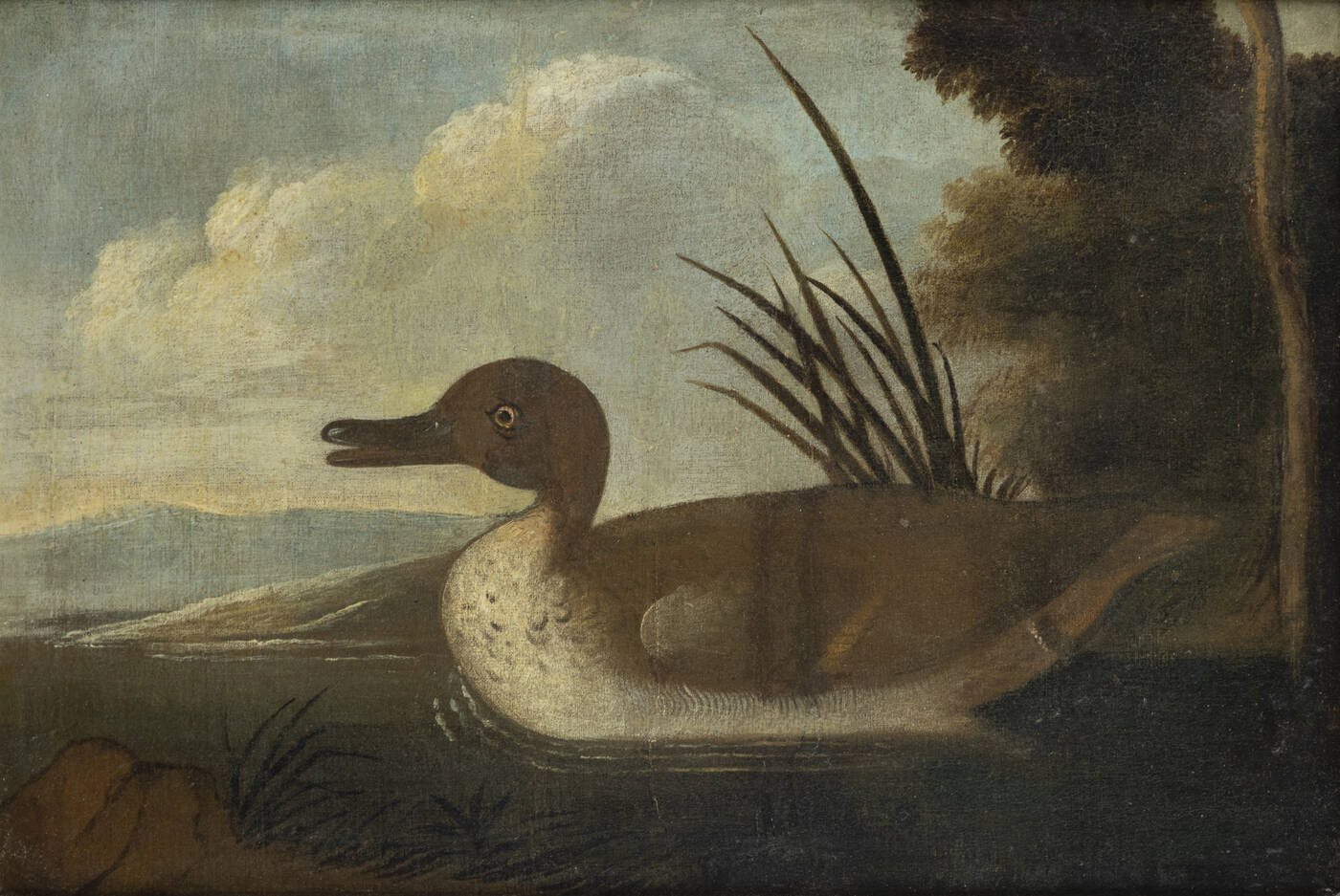 PITTORE ANONIMO - 'Anatra'