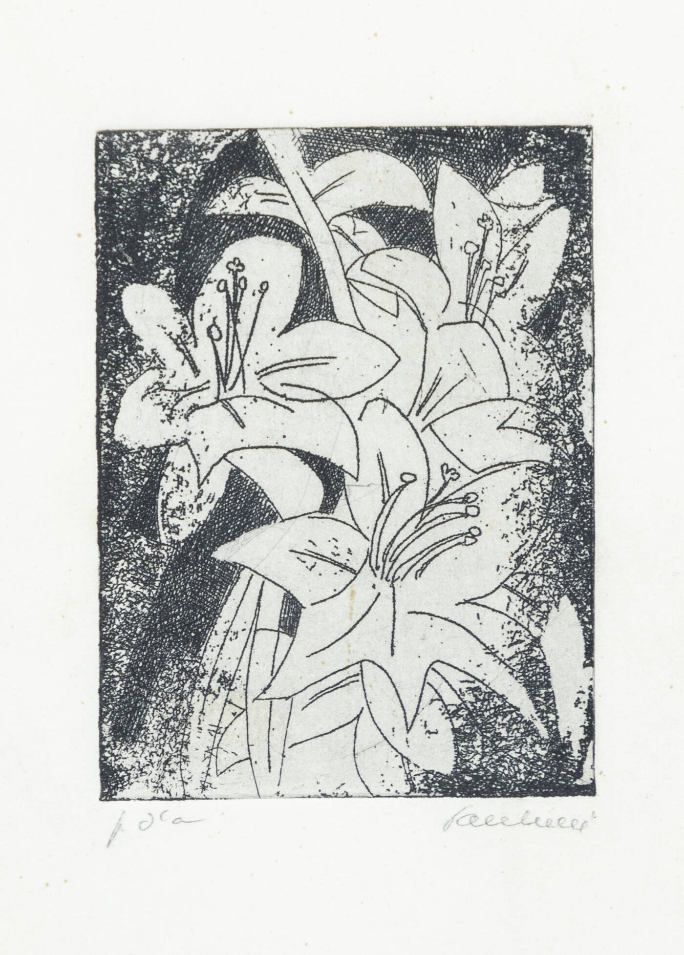 ENRICO PAULUCCI - 'Fiori'