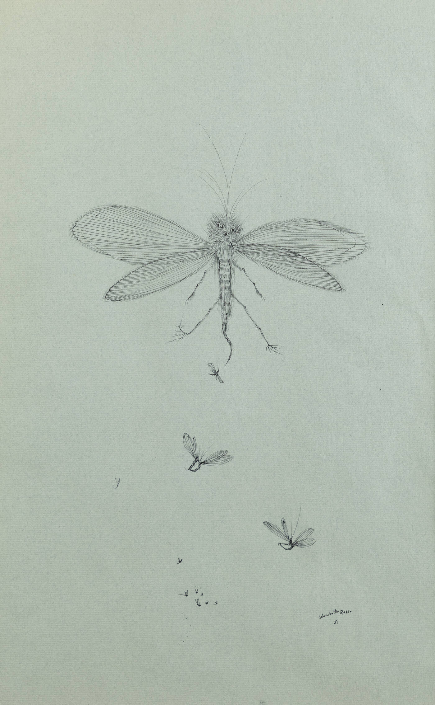 ENRICO COLOMBOTTO ROSSO - 'Libellula' 1951