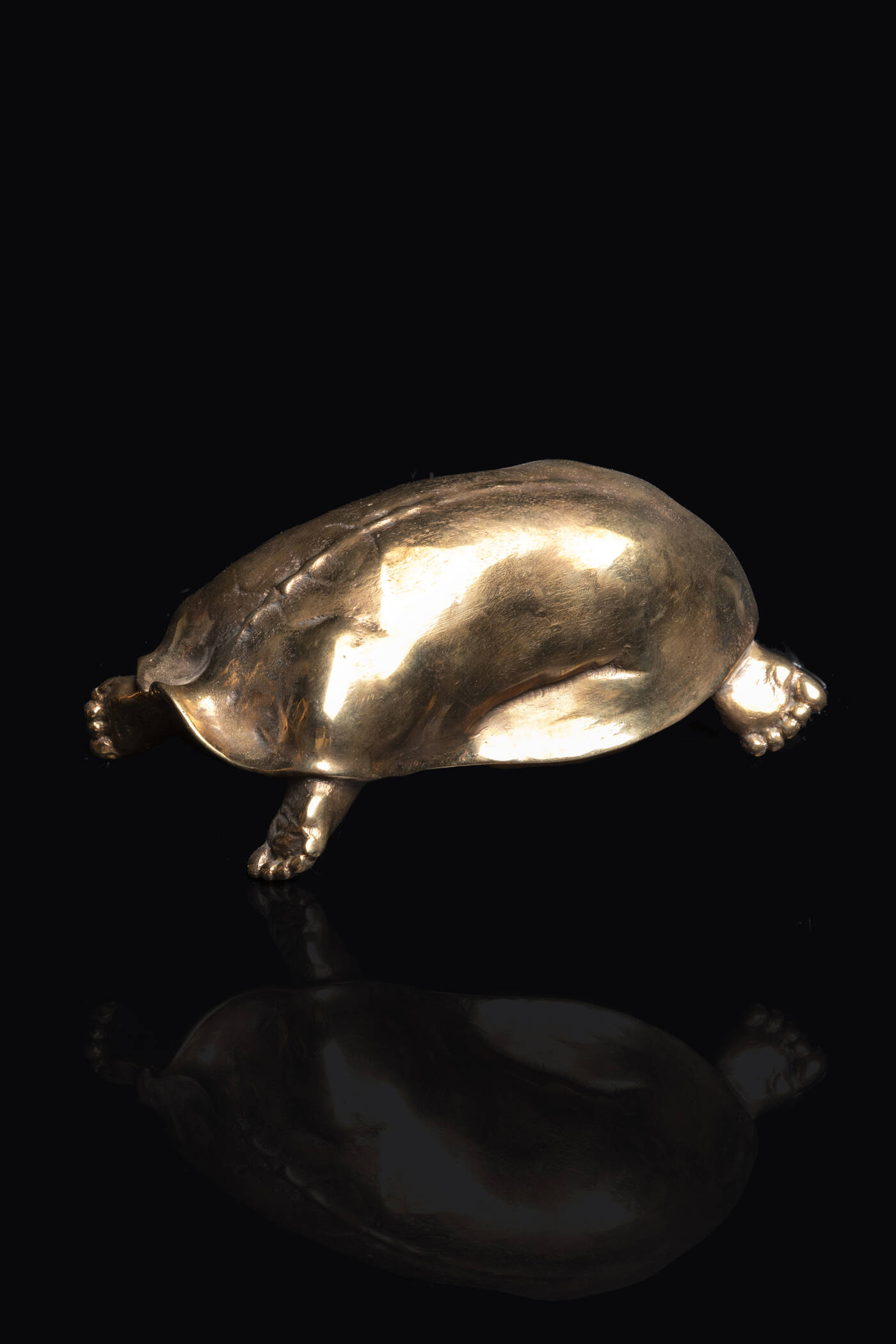 NOVELLO FINOTTI - 'Tartaruga'