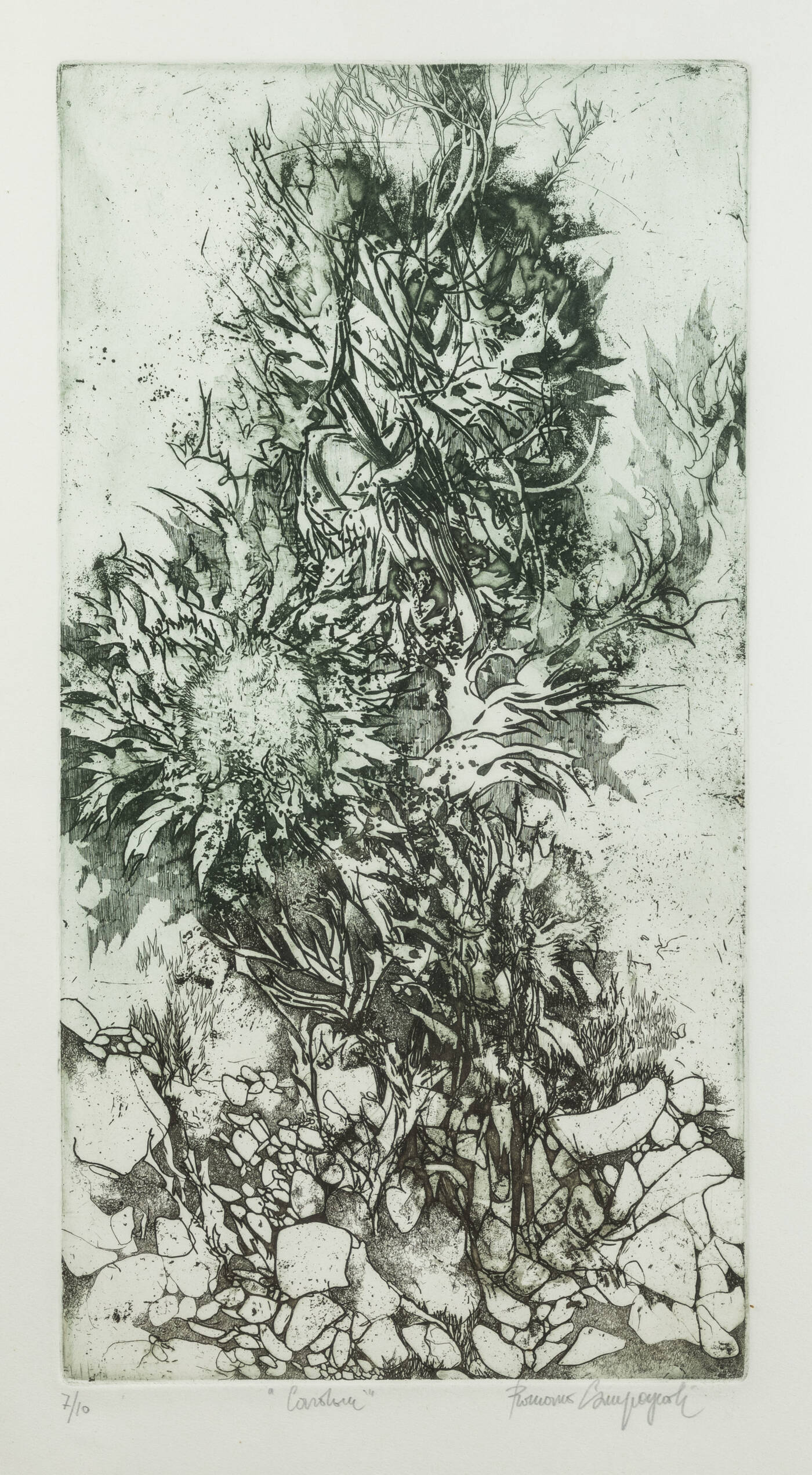 ROMANO CAMPAGNOLI - 'Cardi'