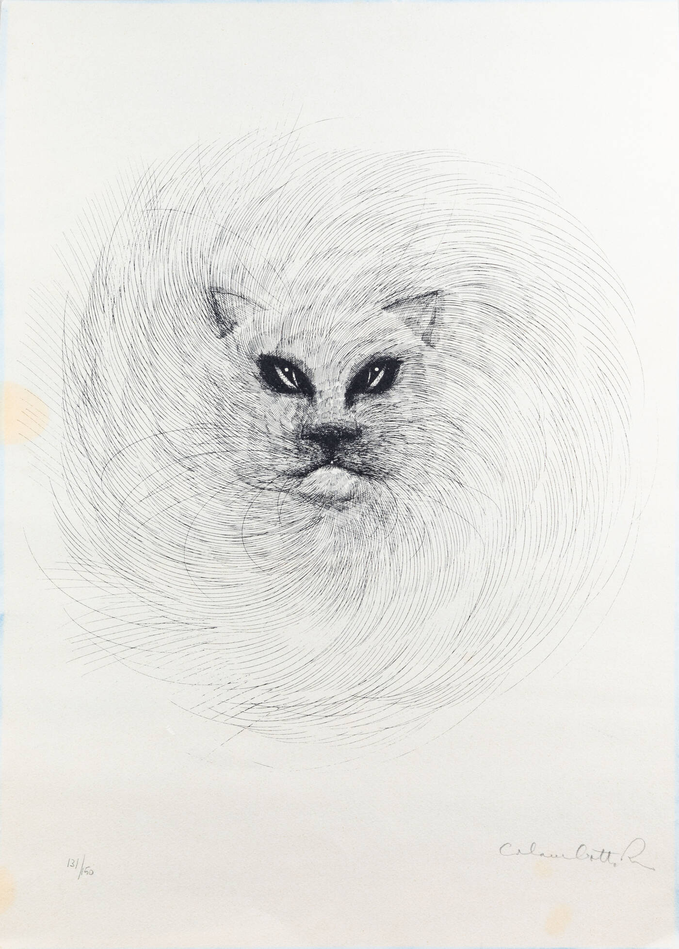 ENRICO COLOMBOTTO ROSSO - 'Gatto'