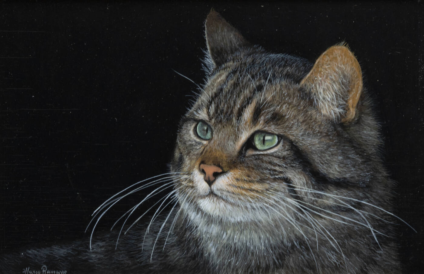 MARCO RAMASSO - 'Vibrisse' 