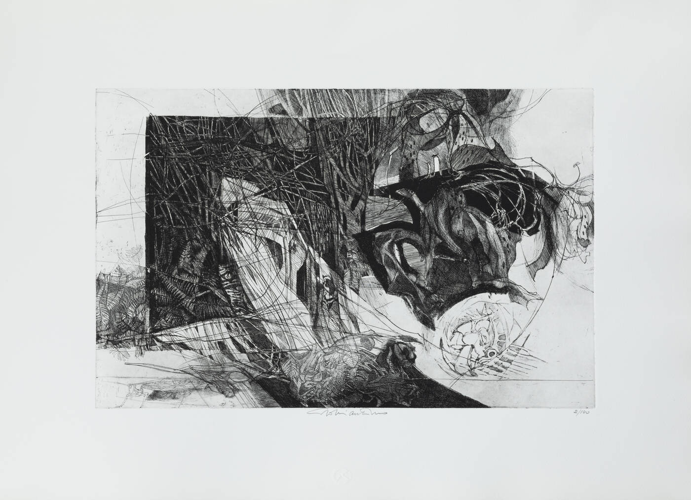 GIACOMO SOFFIANTINO - 'Sottobosco'