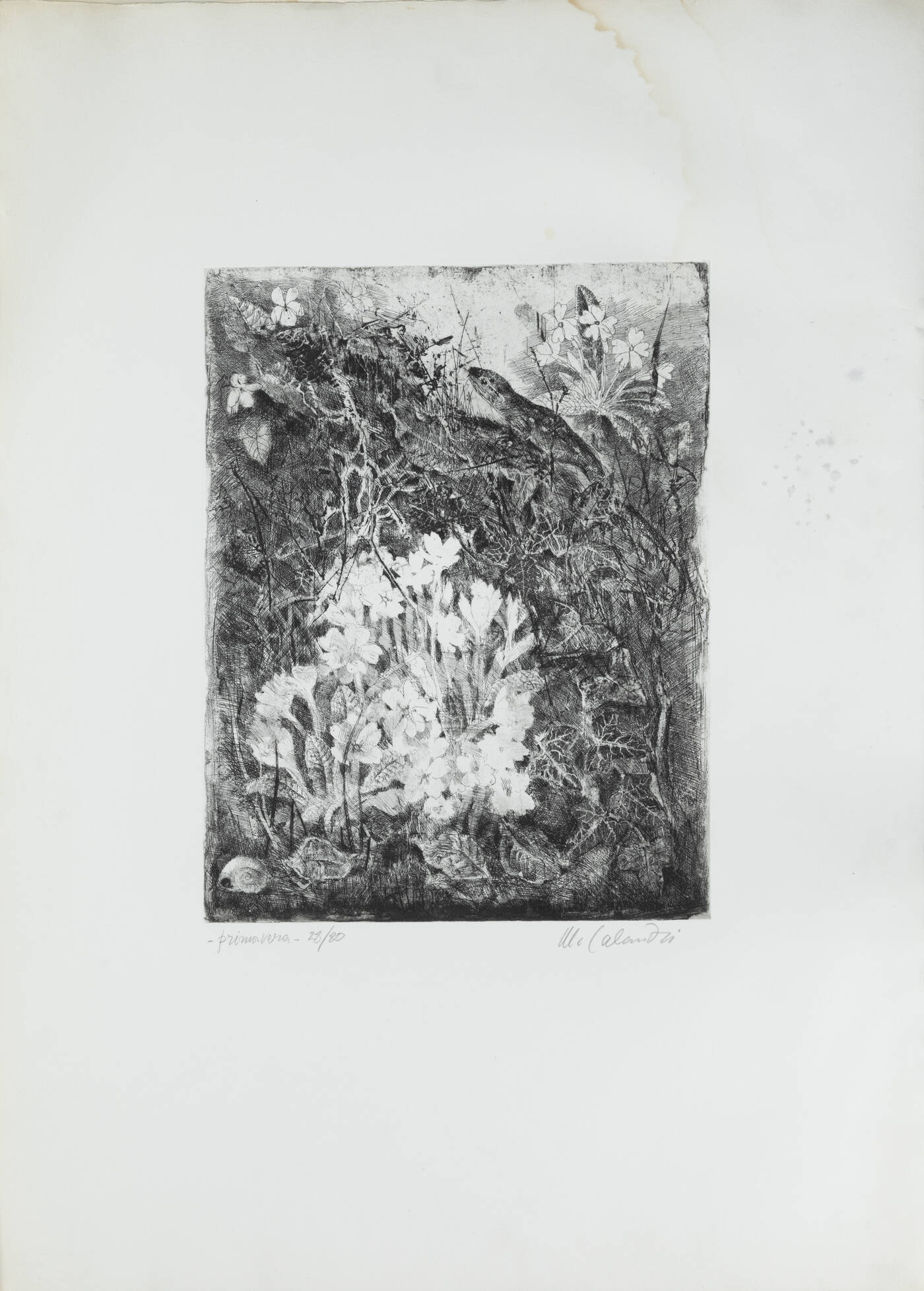 MARIO CALANDRI - 'Primavera' 1983