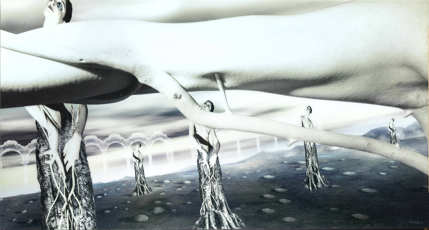 CONIGLIOVIOLA (BRICE CONIGLIO E ANDREA RAVIOLA) - 'Senza titolo'