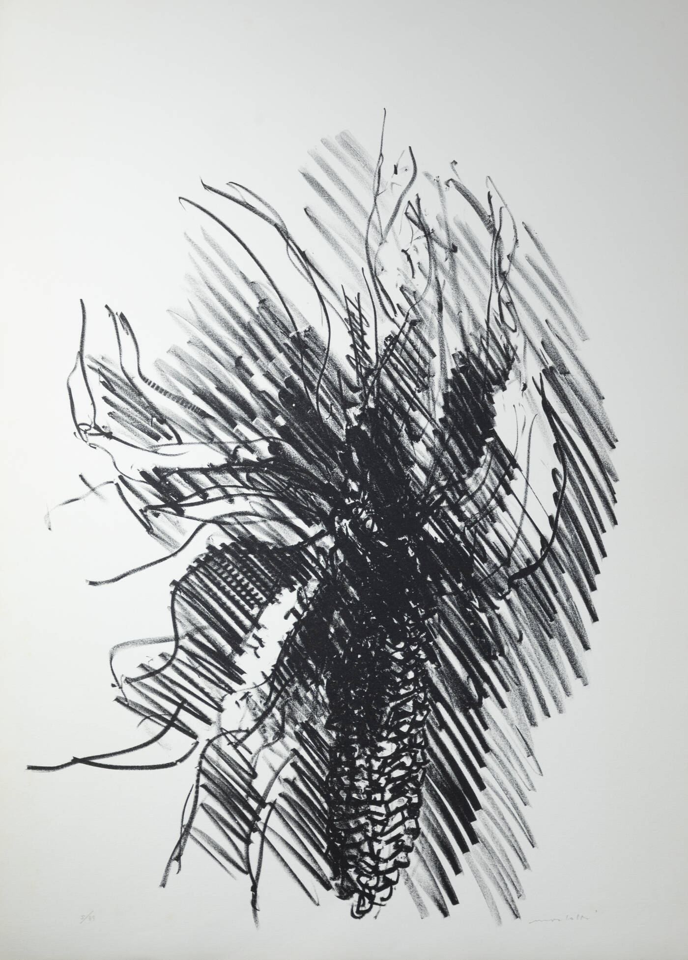 ENNIO MORLOTTI - 'Pannocchia di granoturco'