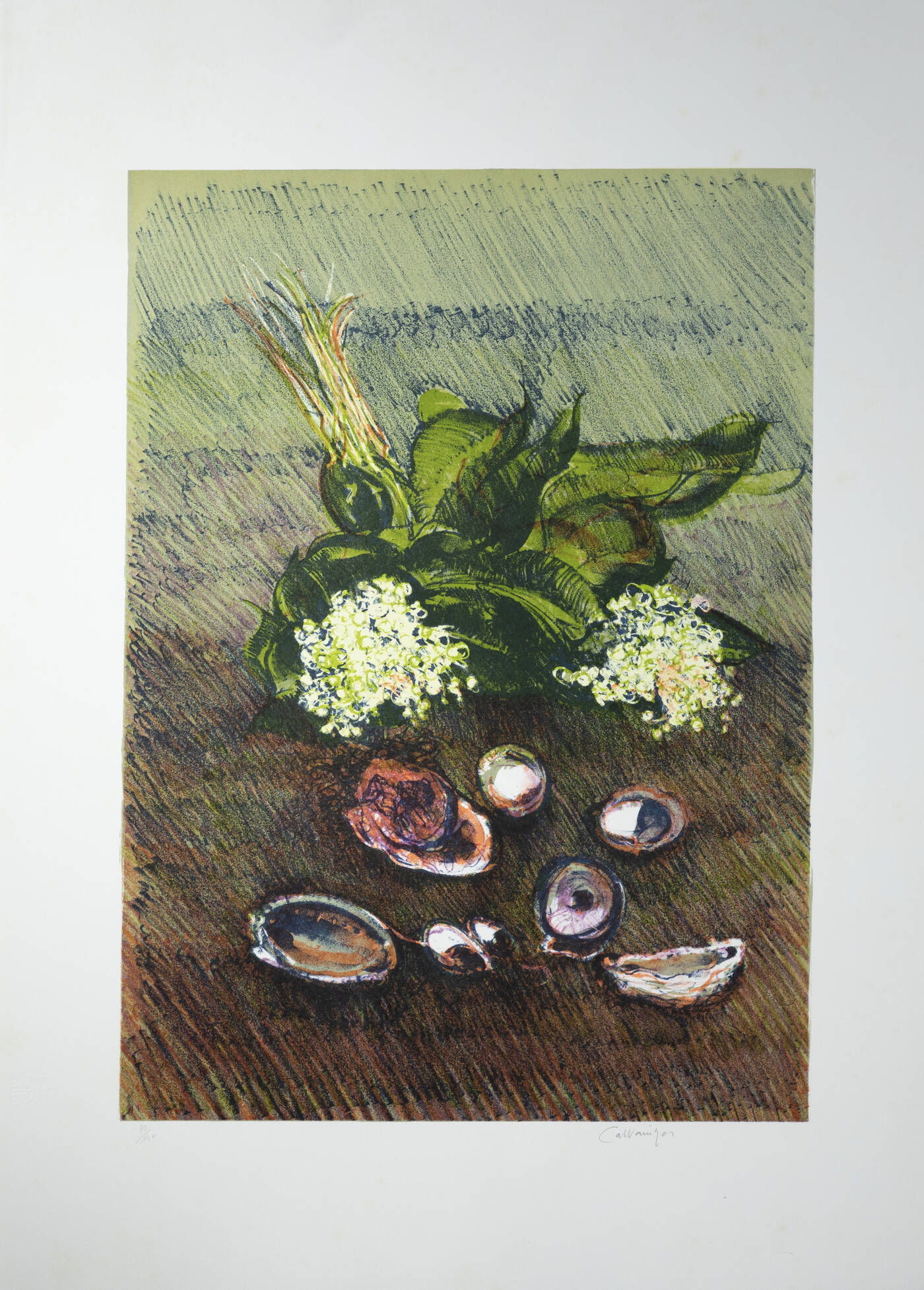 GIANCARLO CAZZANIGA - 'Natura morta con conchiglie'