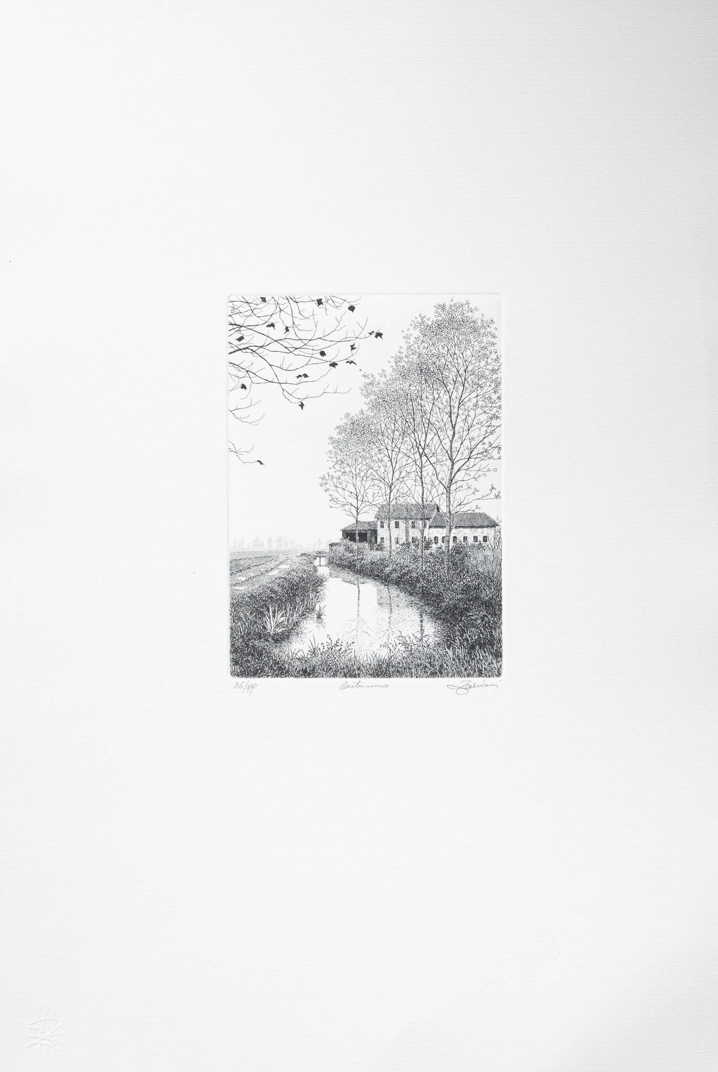 AGOSTINO ZALIANI - 'Autunno'