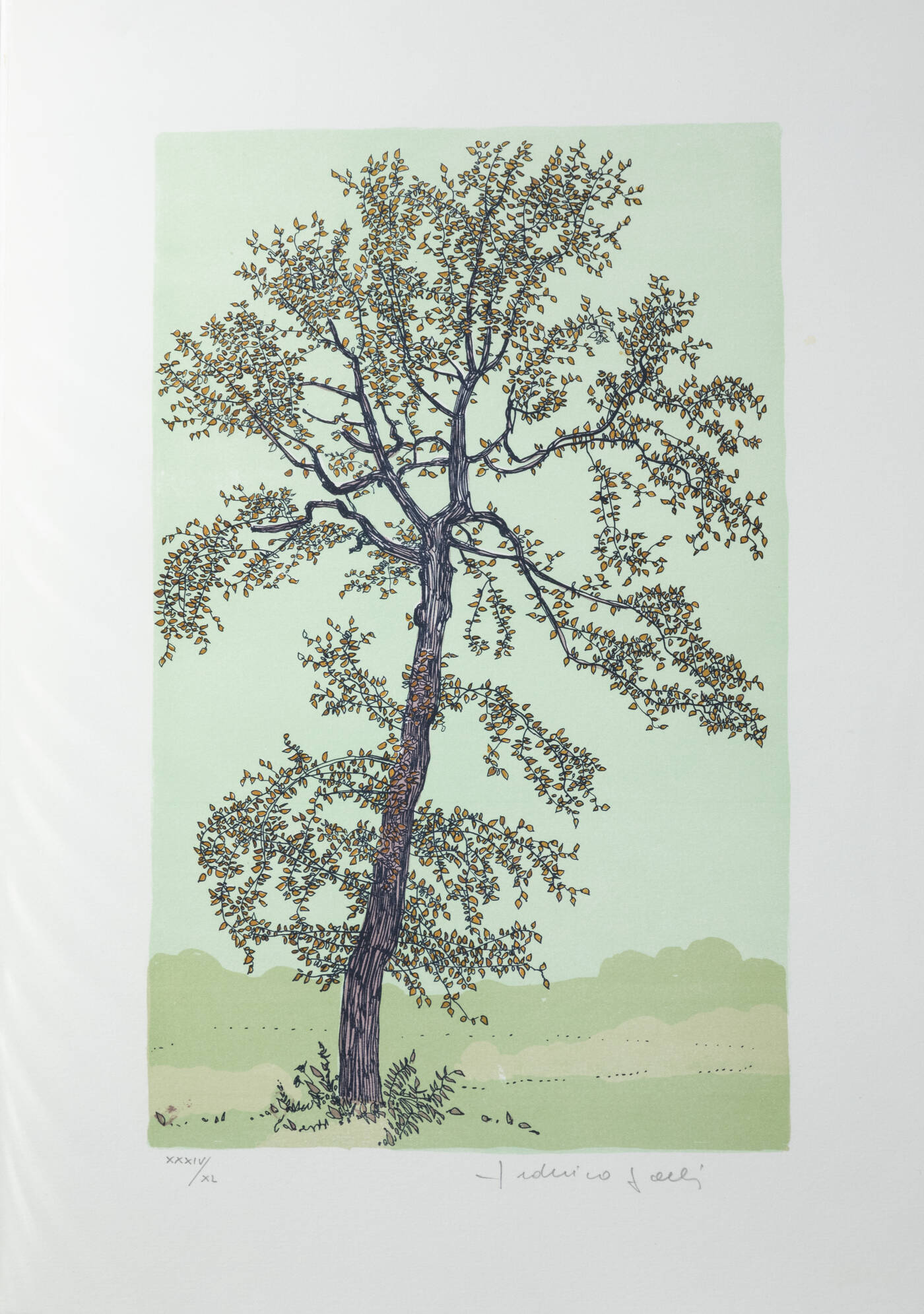 FEDERICA GALLI - 'Albero'