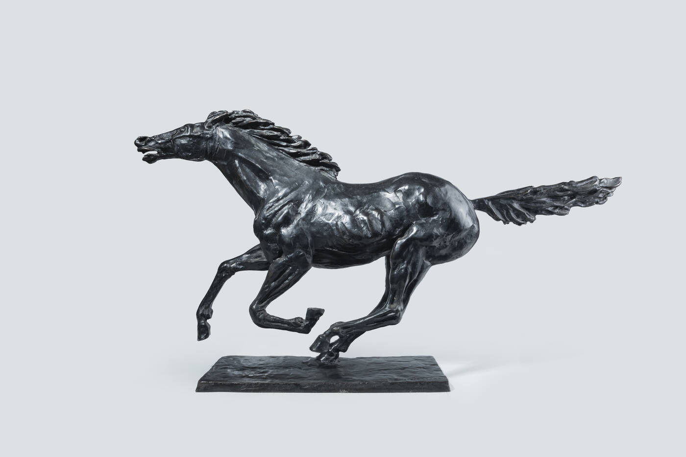 FRANCESCO MESSINA - 'Cavallo'