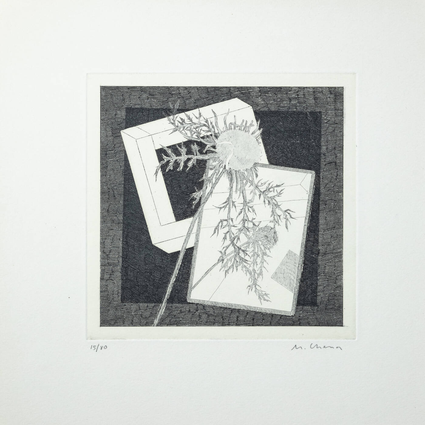 MAURO CHESSA - 'Cardo'