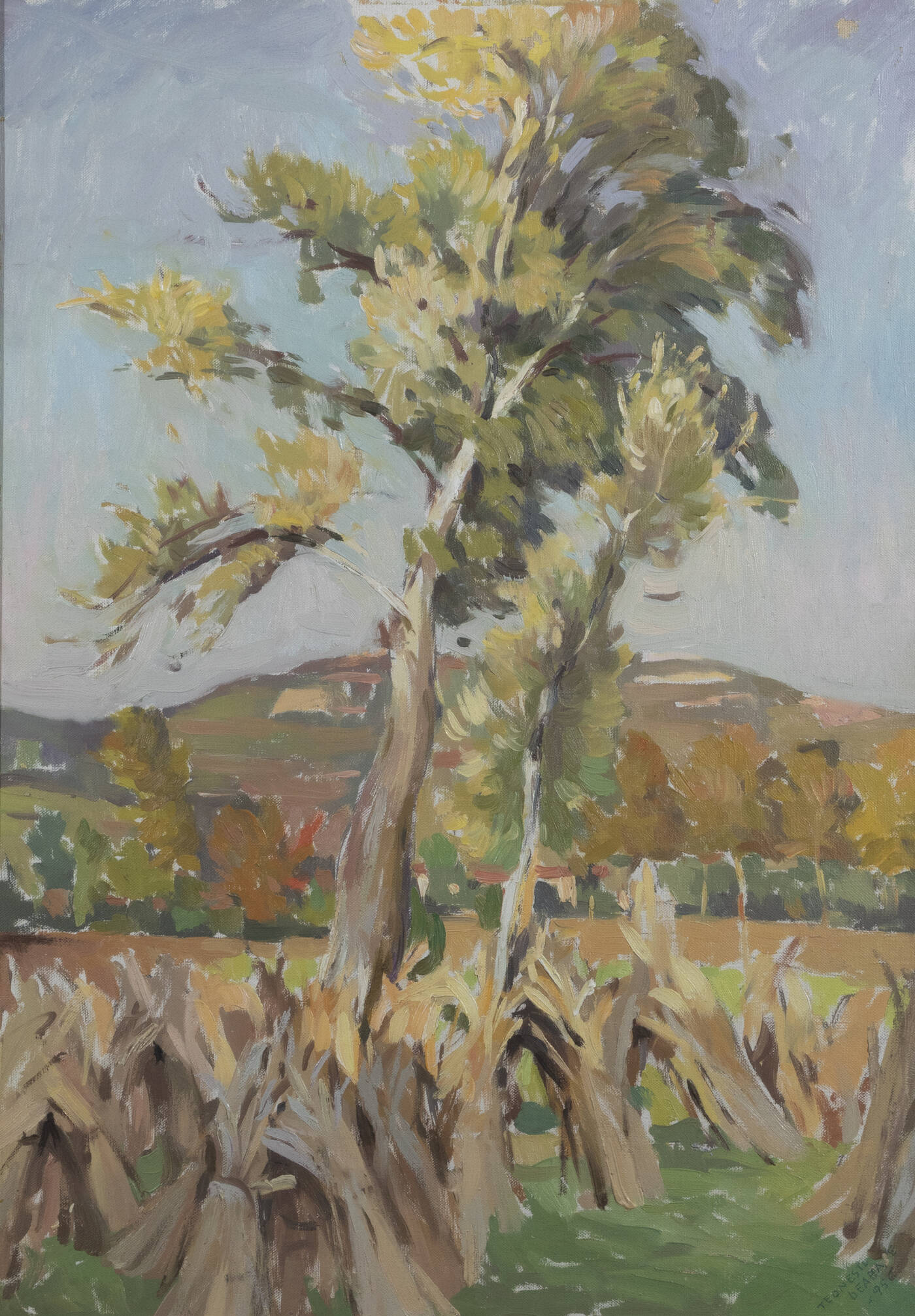 TEONESTO DEABATE - 'Paesaggio collinare' 1956