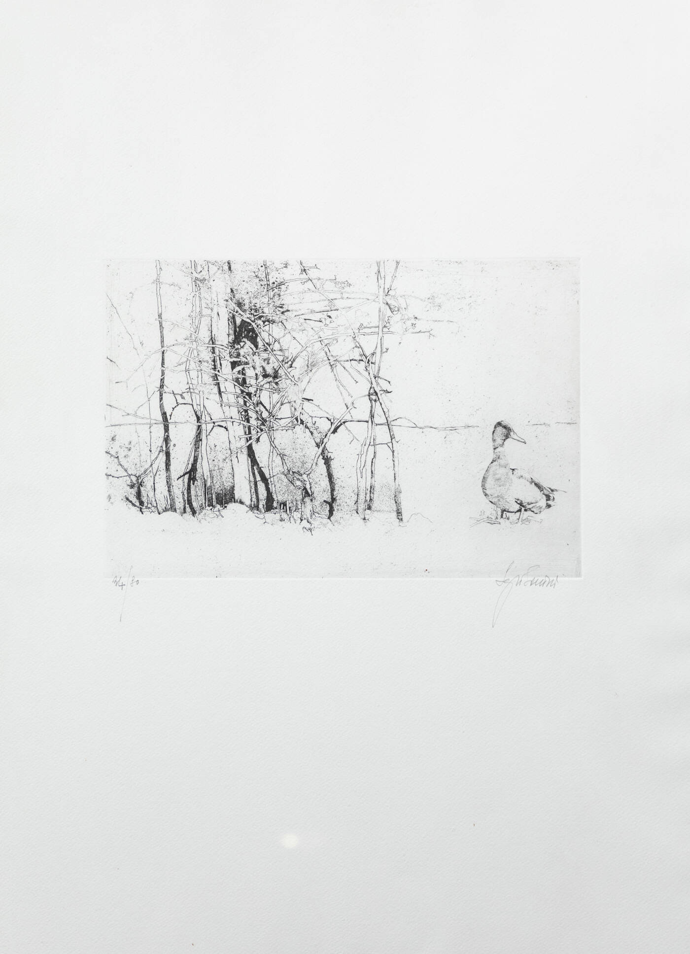 SERGIO SARONI - 'Paesaggio con papera'