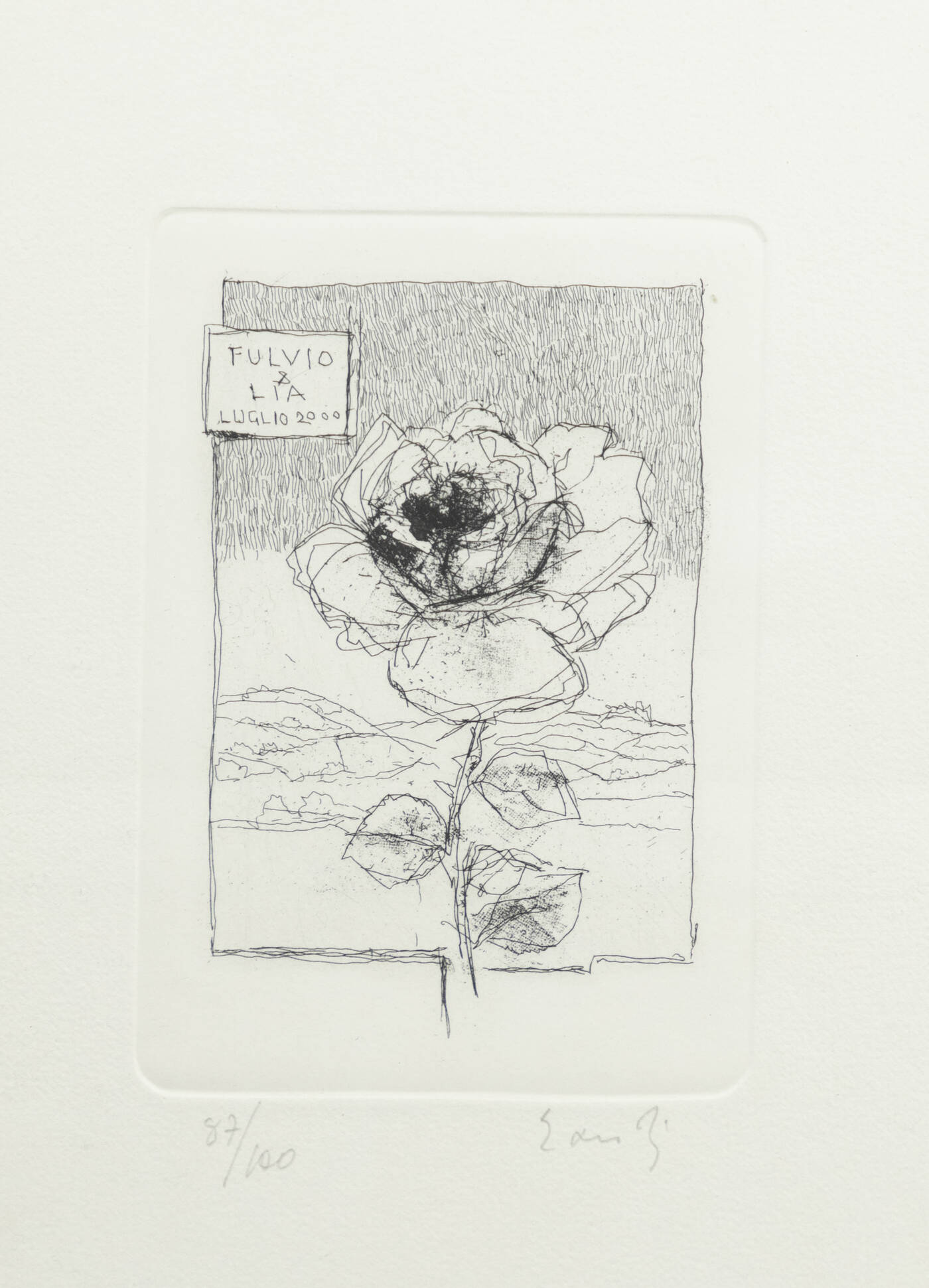 FERNANDO EANDI - 'Rosa' 2000 FERNANDO EANDI - 'Rosa' 2000