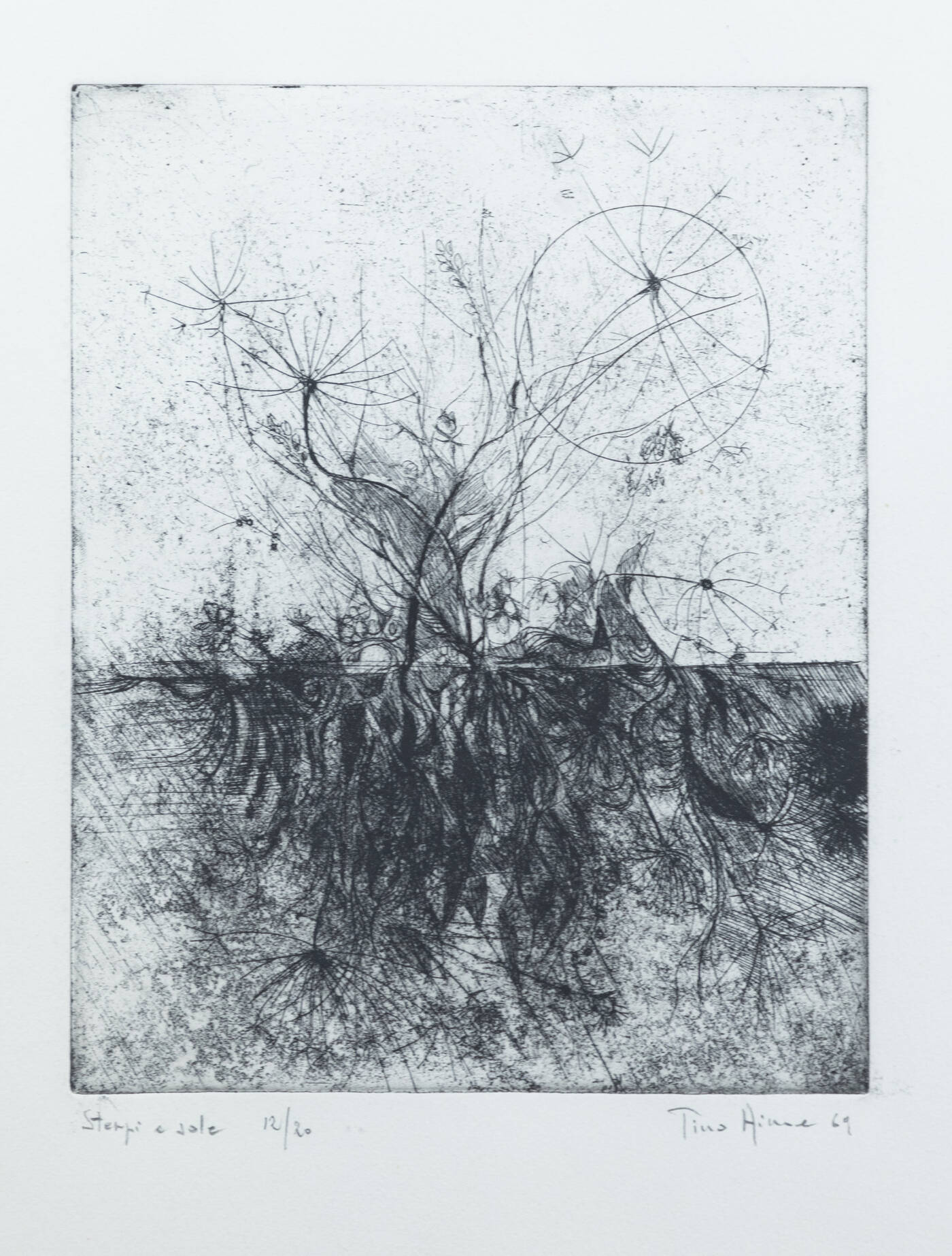 TINO AIME - 'Sterpi e sole' 1969