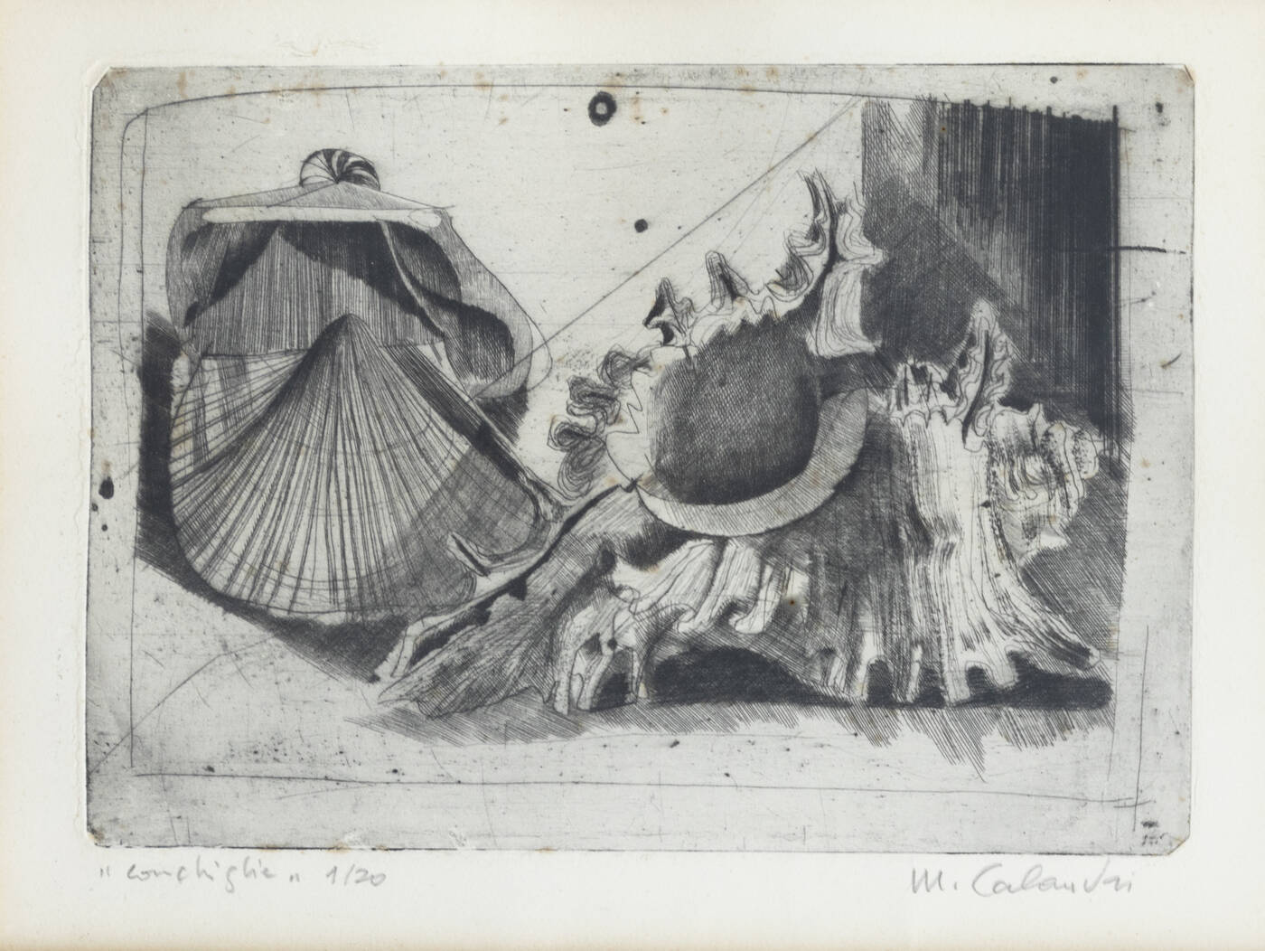 MARIO CALANDRI - 'Conchiglie' 1957