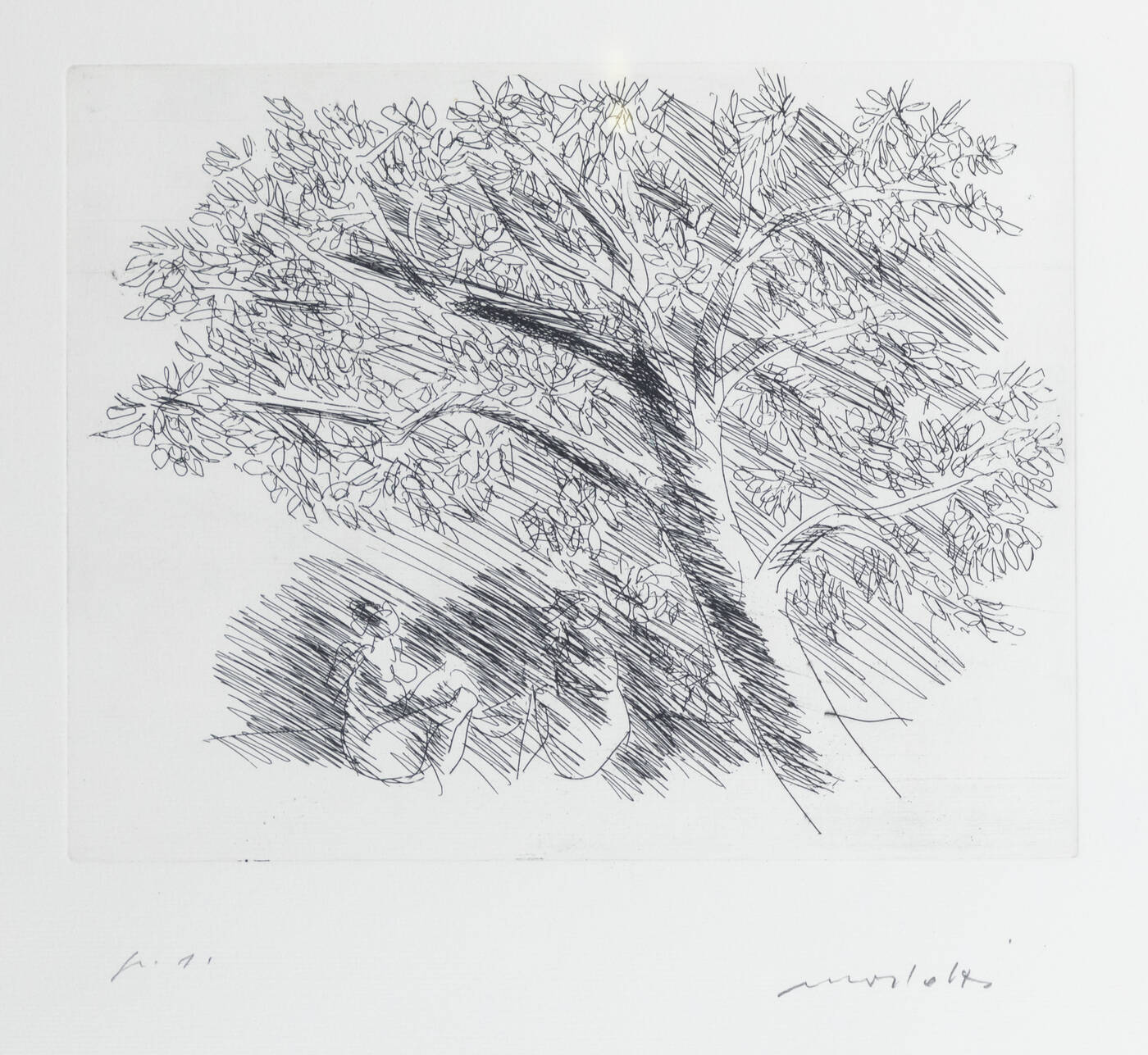 ENNIO MORLOTTI - 'Albero'