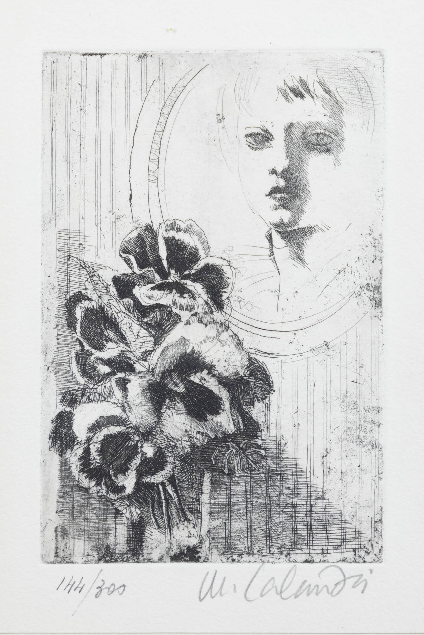 MARIO CALANDRI - 'Viole del pensiero'