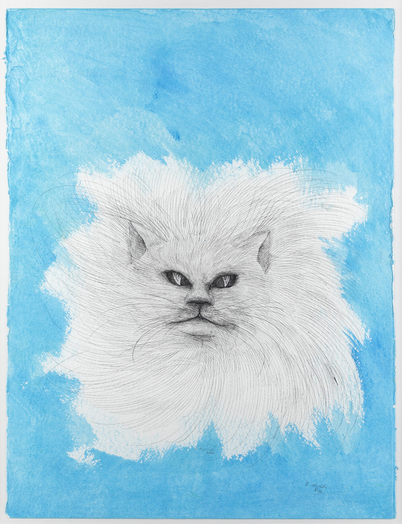 ENRICO COLOMBOTTO ROSSO - 'Gatto'