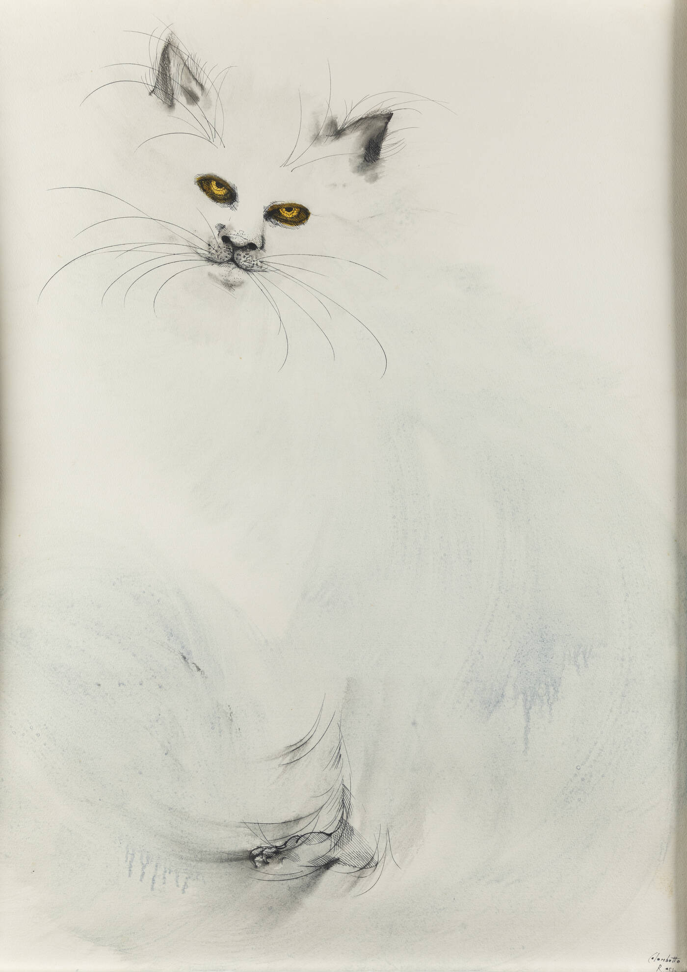 ENRICO COLOMBOTTO ROSSO - 'Gatto'