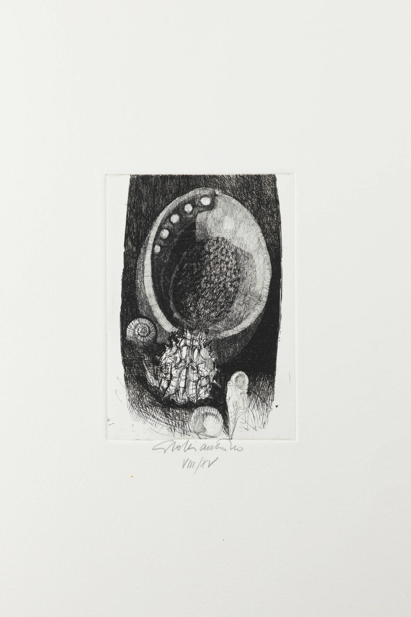 GIACOMO SOFFIANTINO - 'Conchiglie'