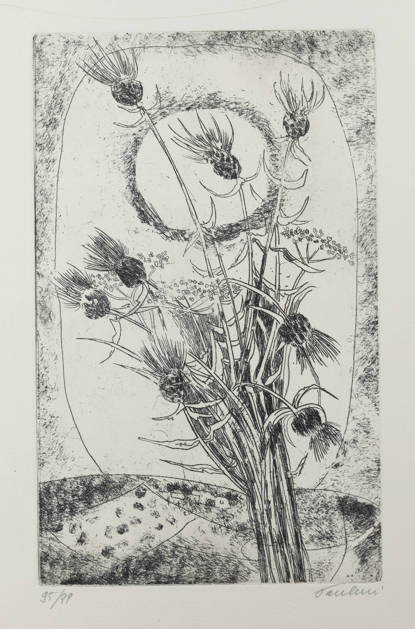 ENRICO PAULUCCI - 'Cardoni e langa'