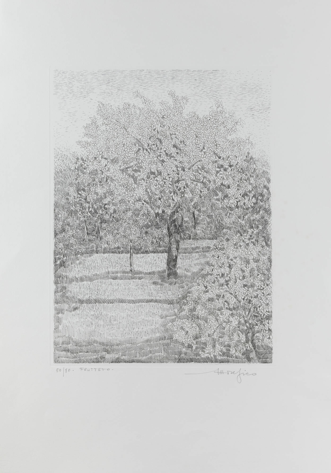 ETTORE FICO - 'Frutteto'