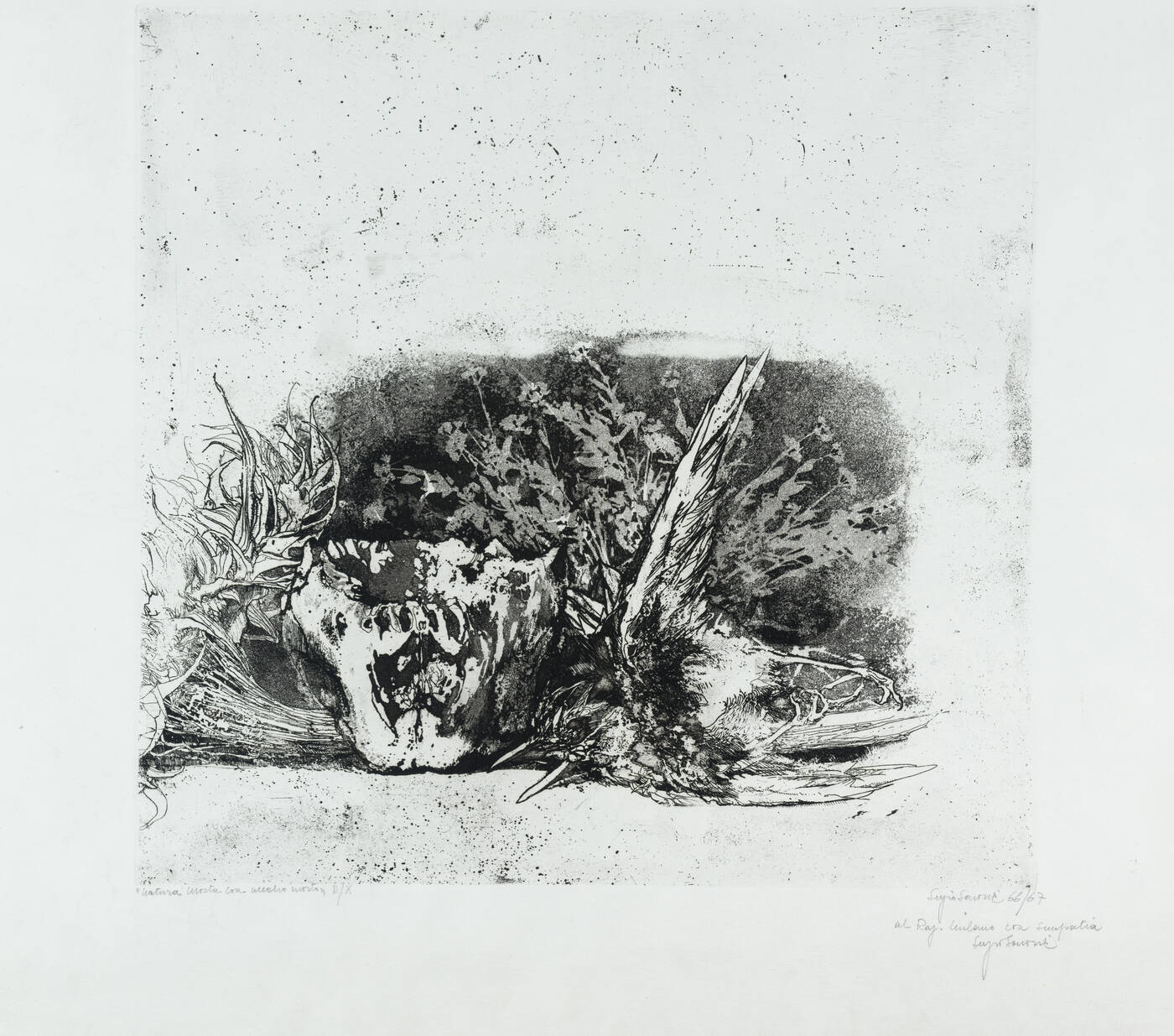 SERGIO SARONI - 'Natura morta con uccello morto' 1966-1967