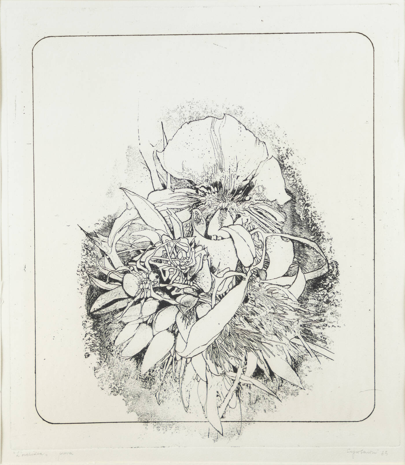 SERGIO SARONI - 'L'orchidea' 1965