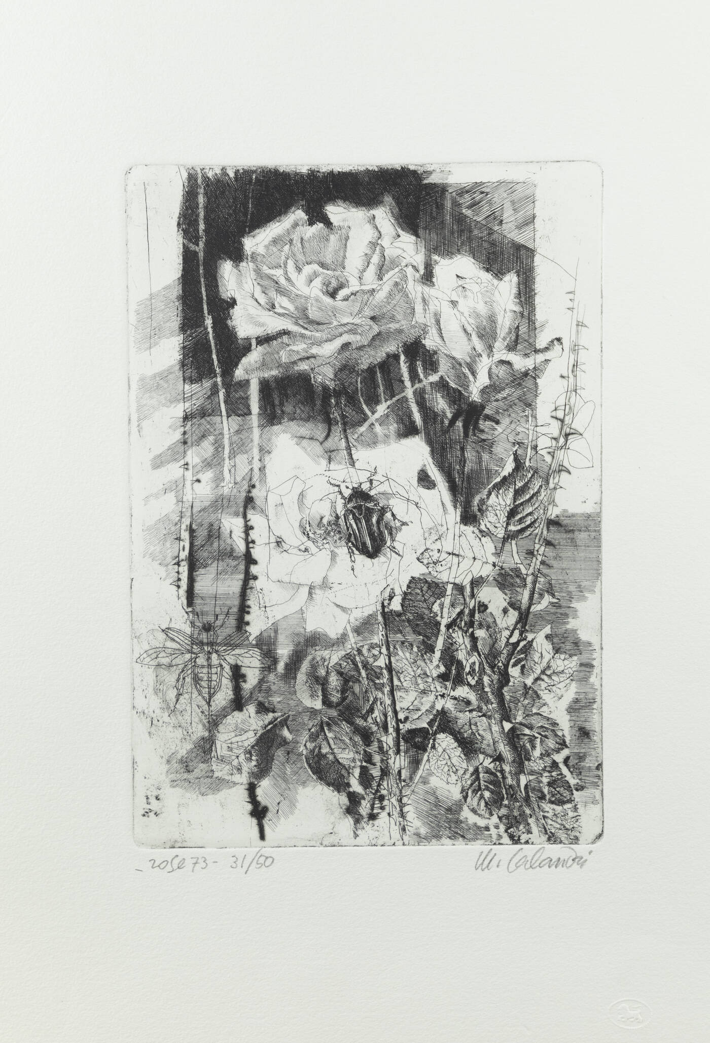 MARIO CALANDRI - 'Rose' 1973