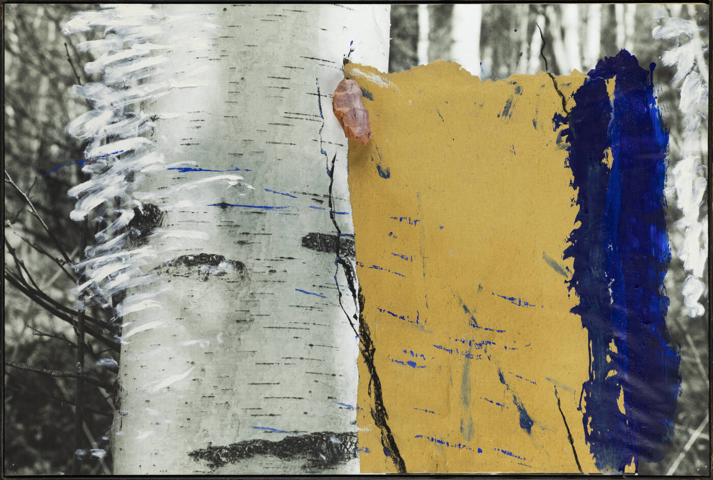 MARCO GASTINI - 'Lavoro sulle betulle' 2013