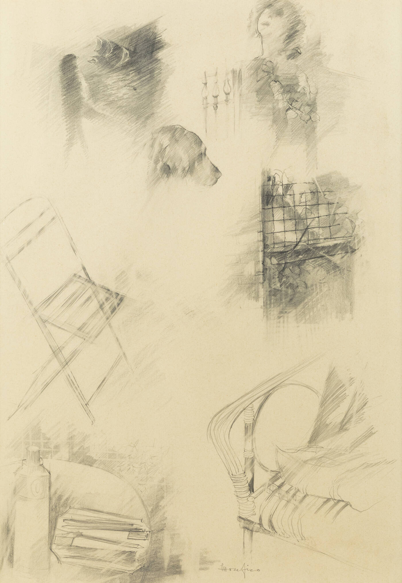 ETTORE FICO - 'Studio morfologico di soggetti' 