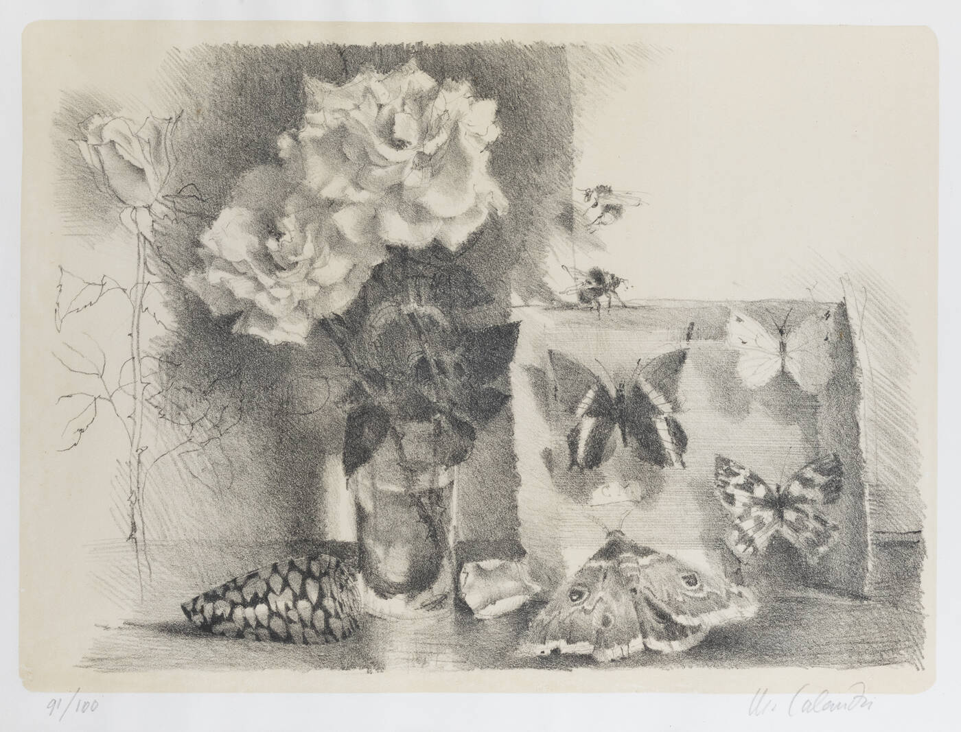 MARIO CALANDRI - 'Senza titolo (rose, conchiglia e scatola degli insetti)' fine anni Cinquanta