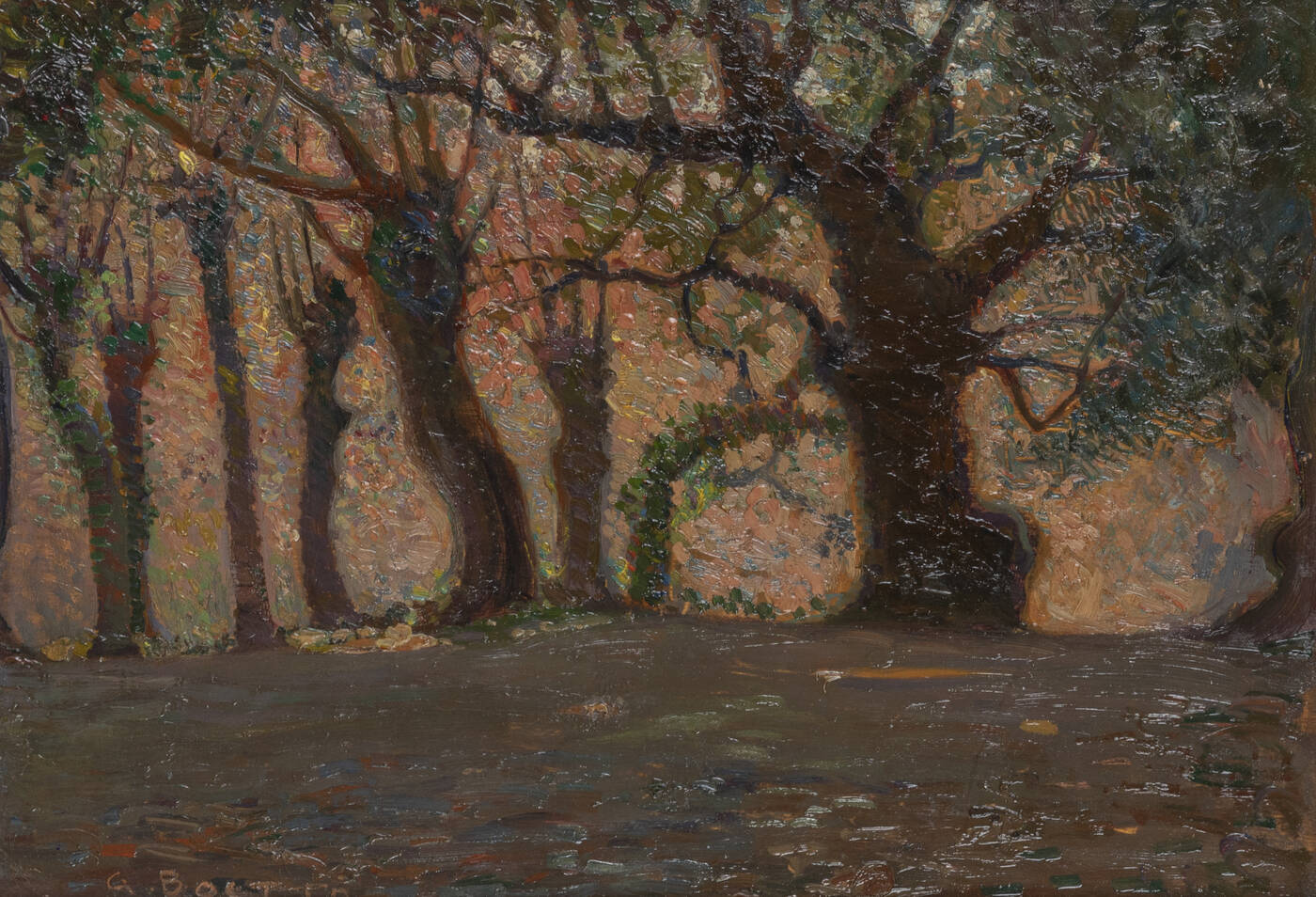 GIULIO BOETTO - 'Alberi'