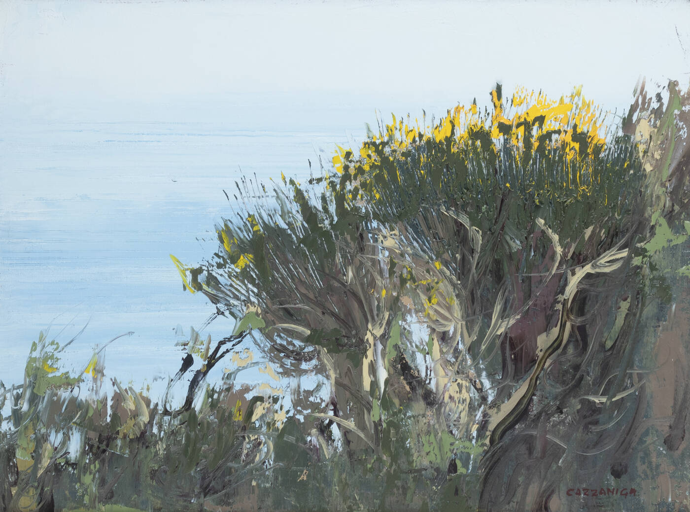 GIANCARLO CAZZANIGA - 'Ginestre'