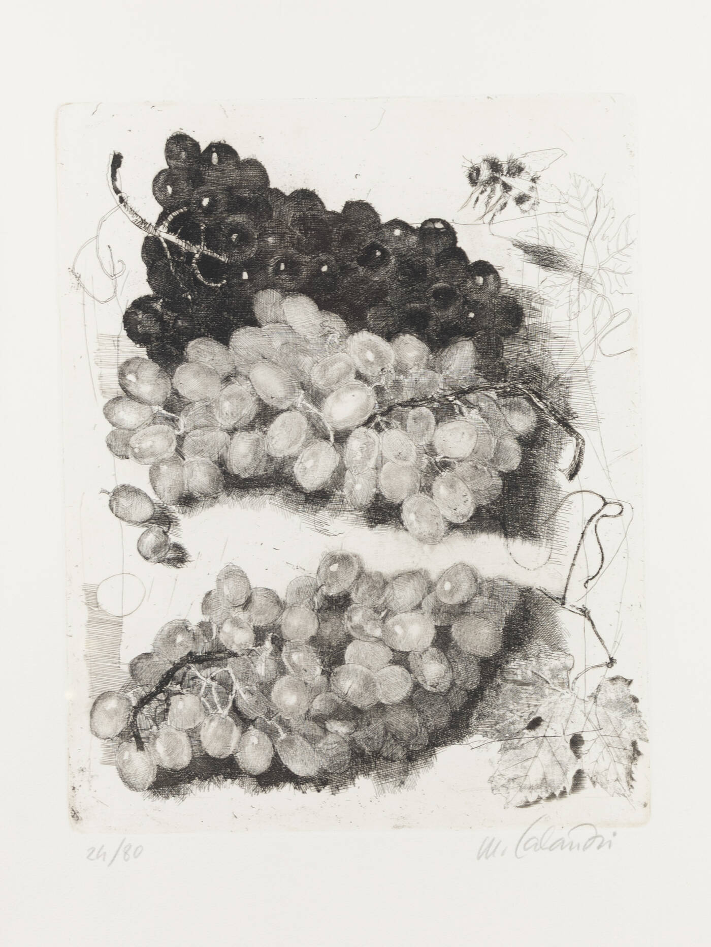 MARIO CALANDRI - 'L'uva' 1978